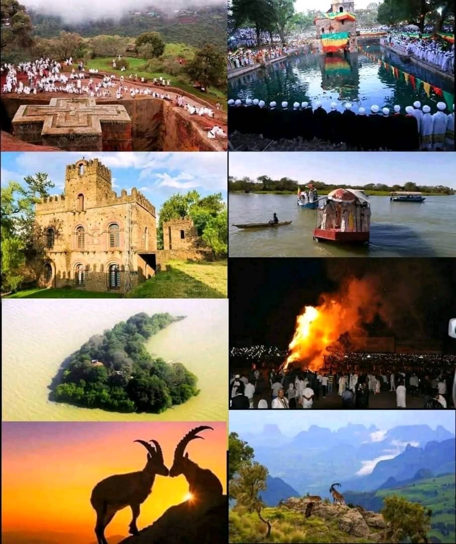 Added by user manually