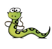 NC Snake Catcher logo