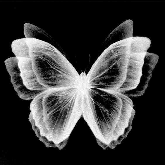 Added by user manually