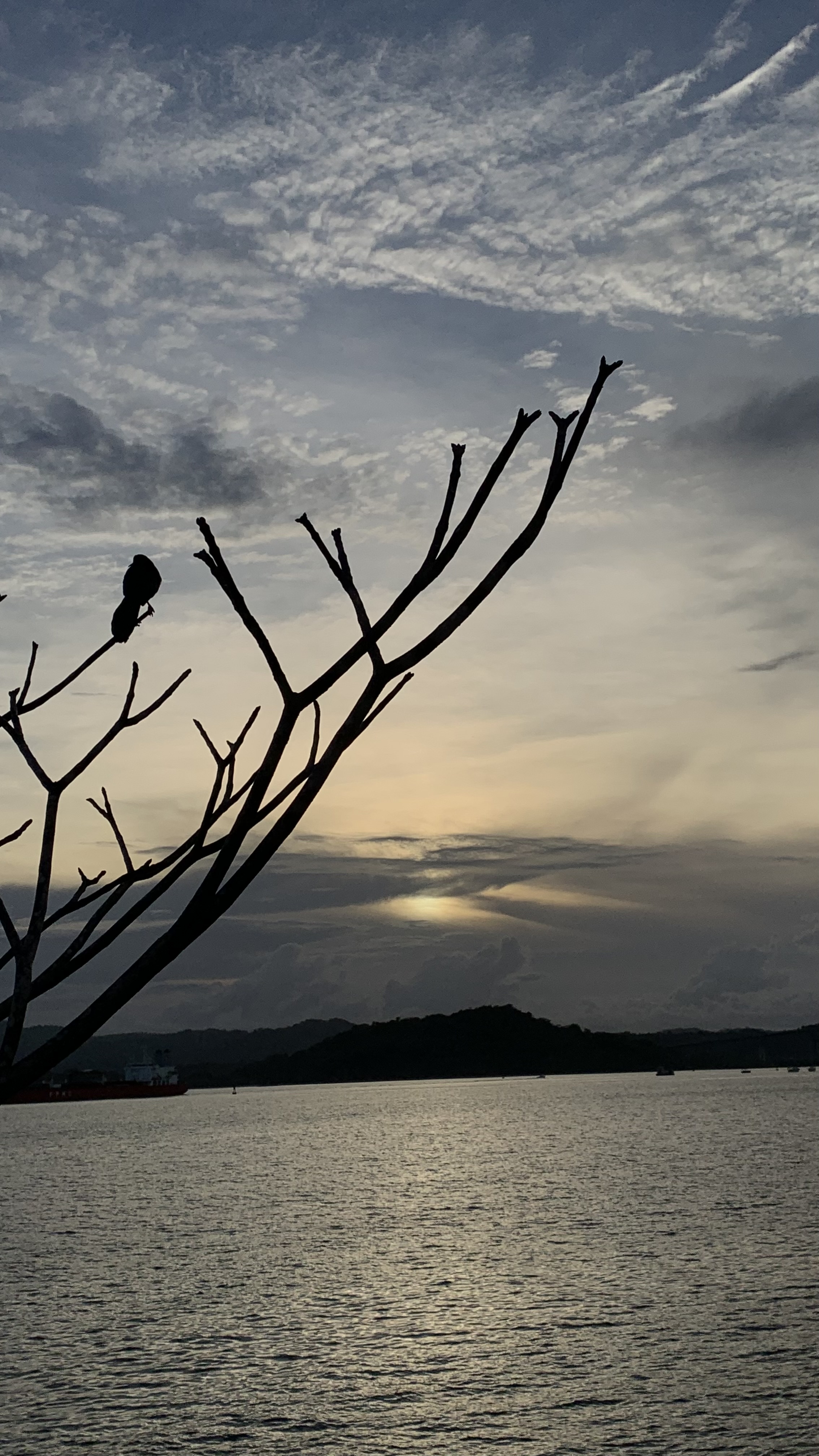 Added by user manually