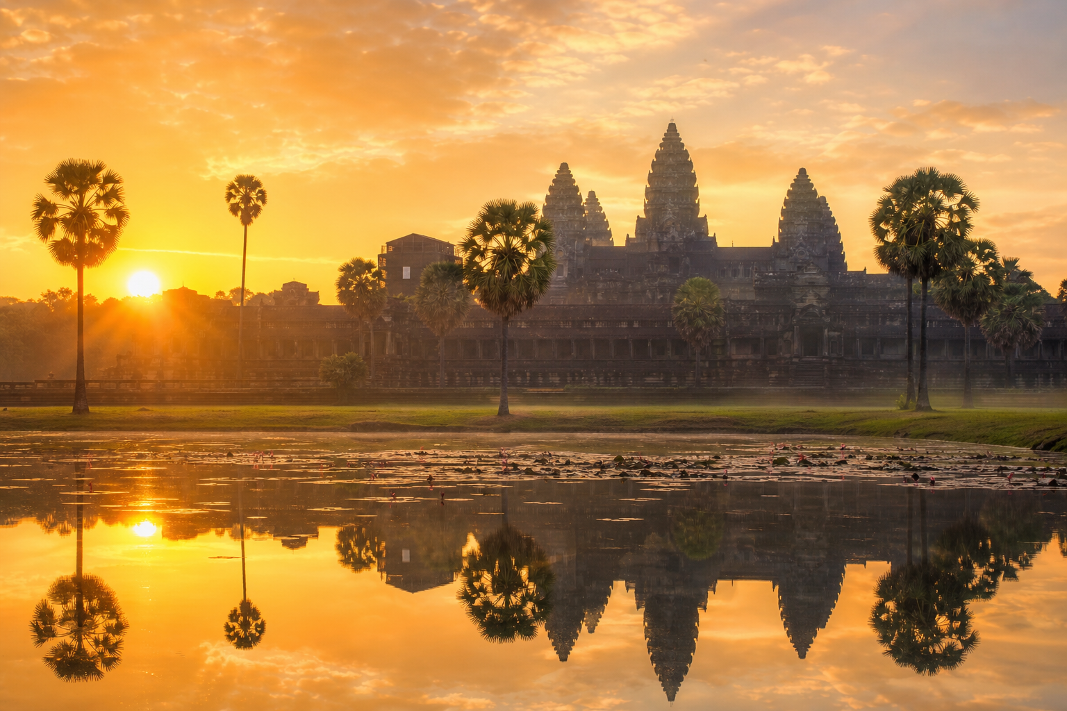 Siem Reap sunrise with Angkor temple silhouettes and palm trees