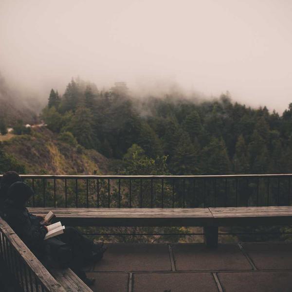 Portrait of Alex Tester, a foggy forest bridge