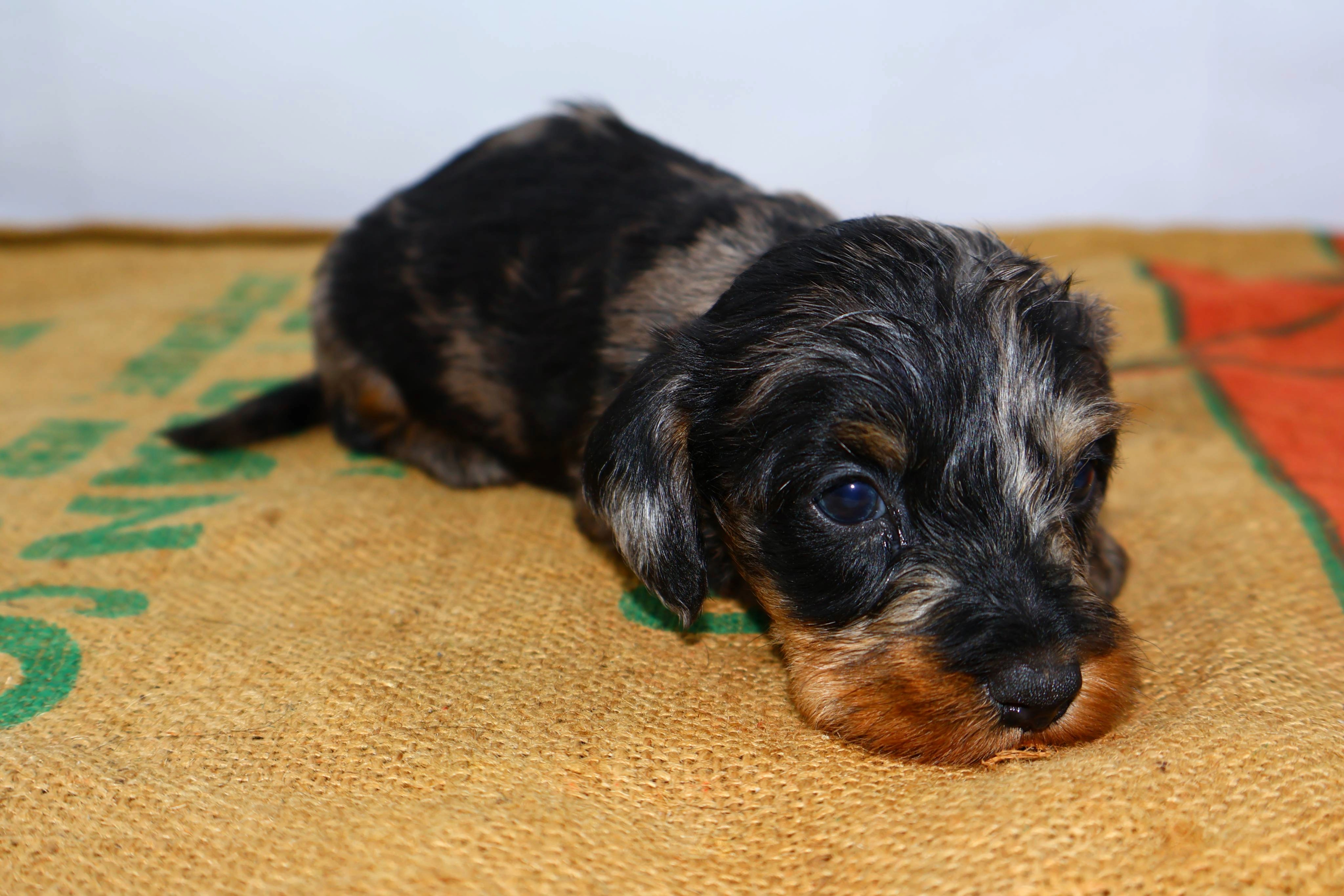 Added by user manually