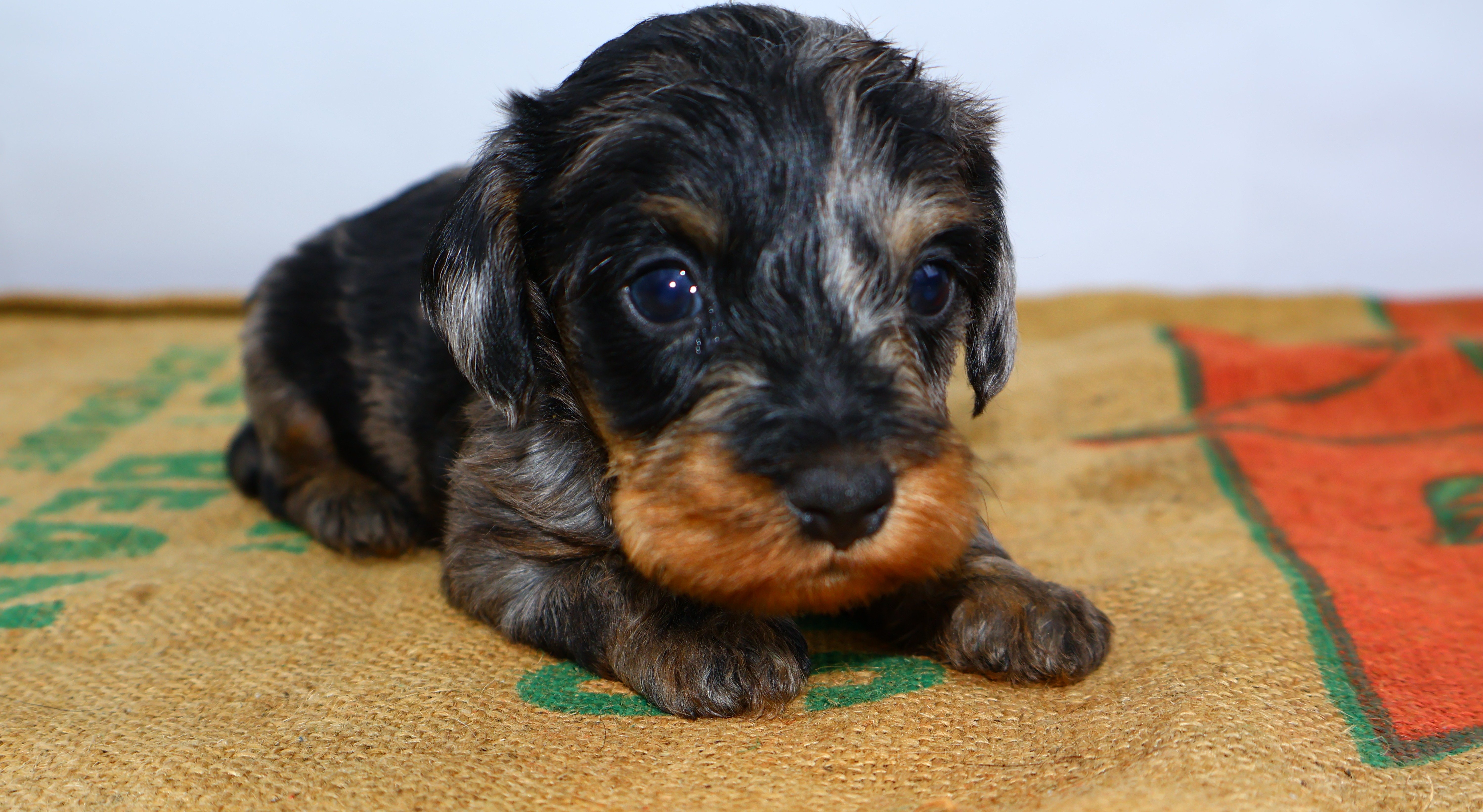 Added by user manually