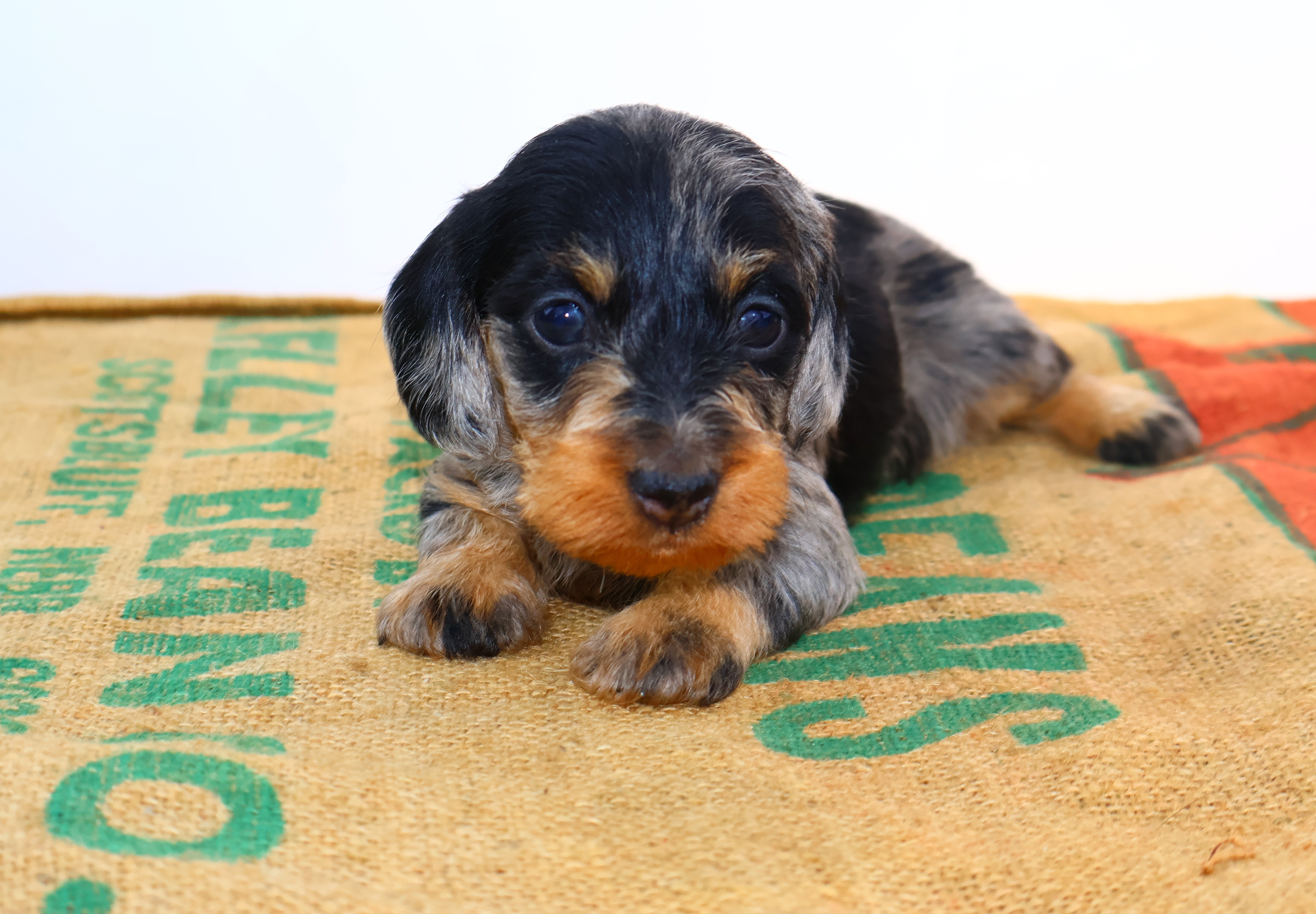 Added by user manually