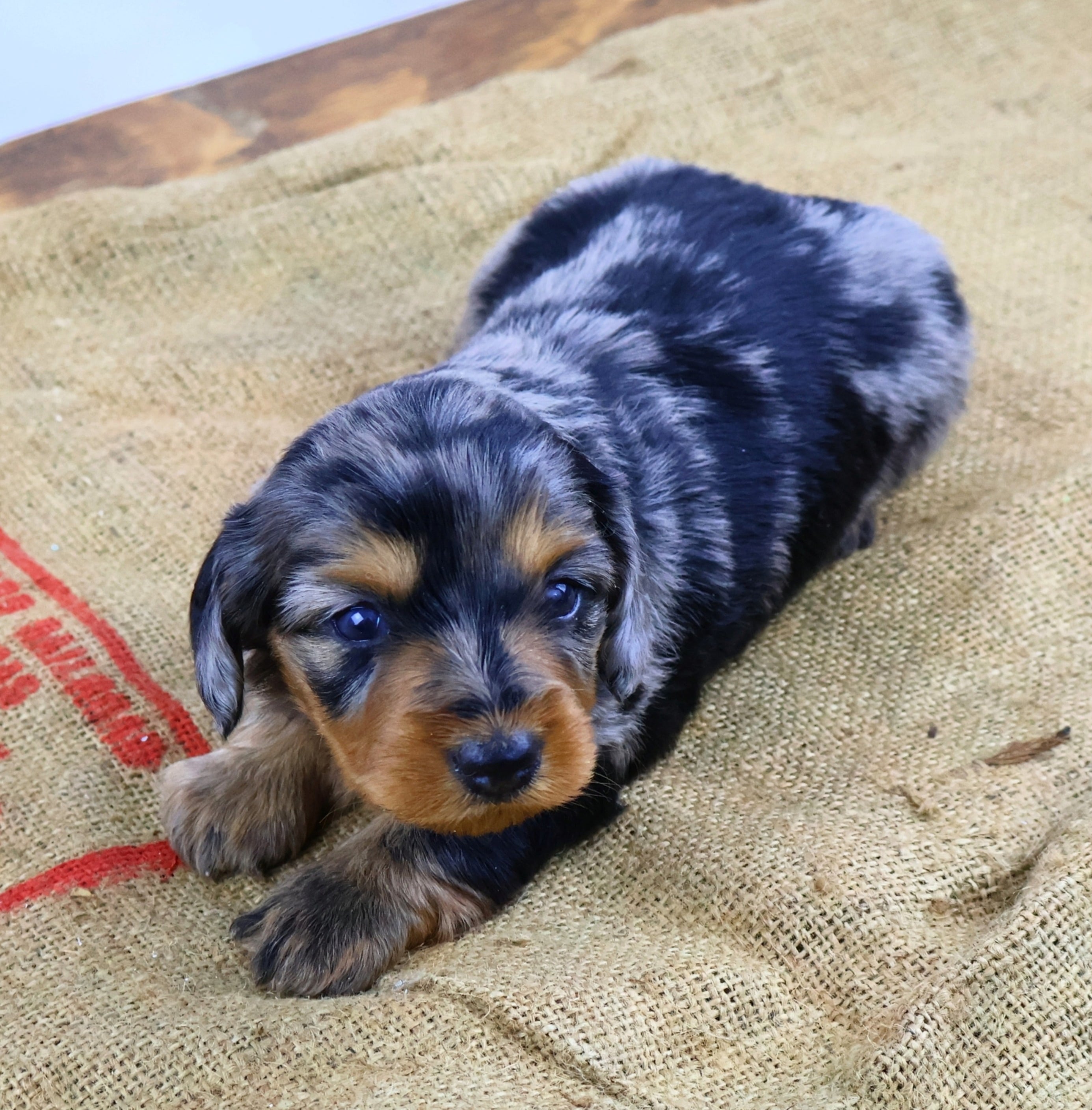 Added by user manually