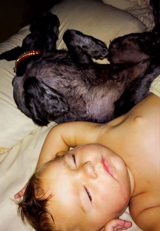 Added by user manually