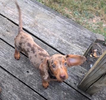 Added by user manually