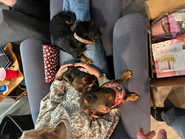 Added by user manually