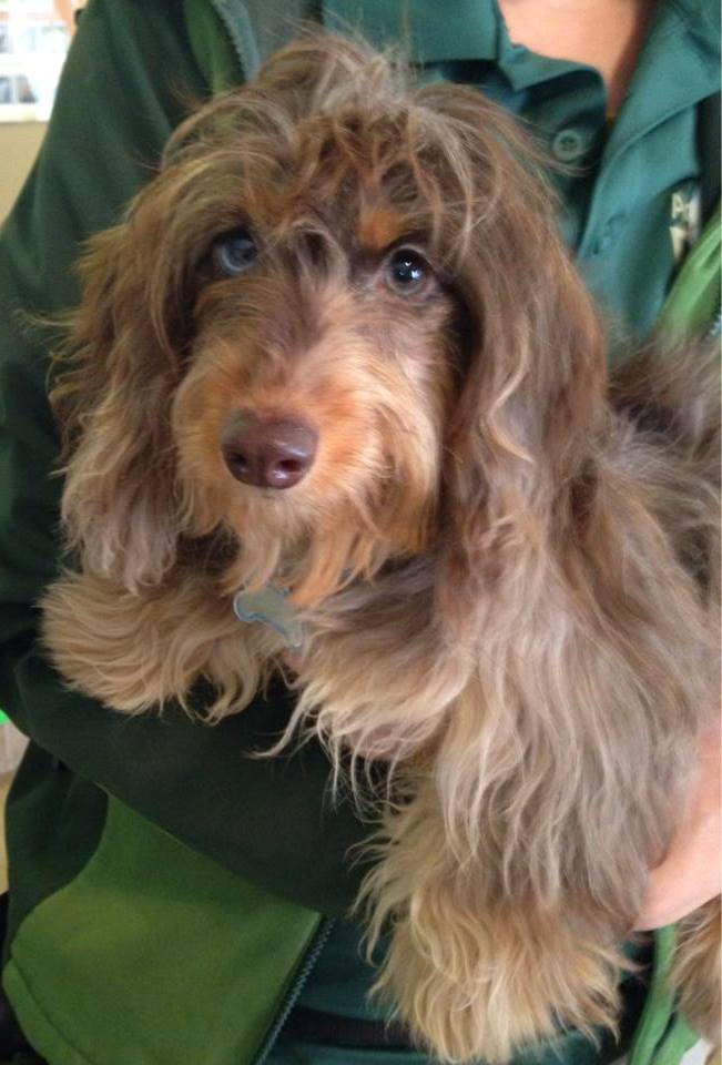 Added by user manually