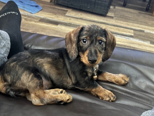 Added by user manually