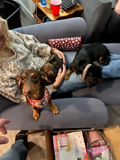 Added by user manually