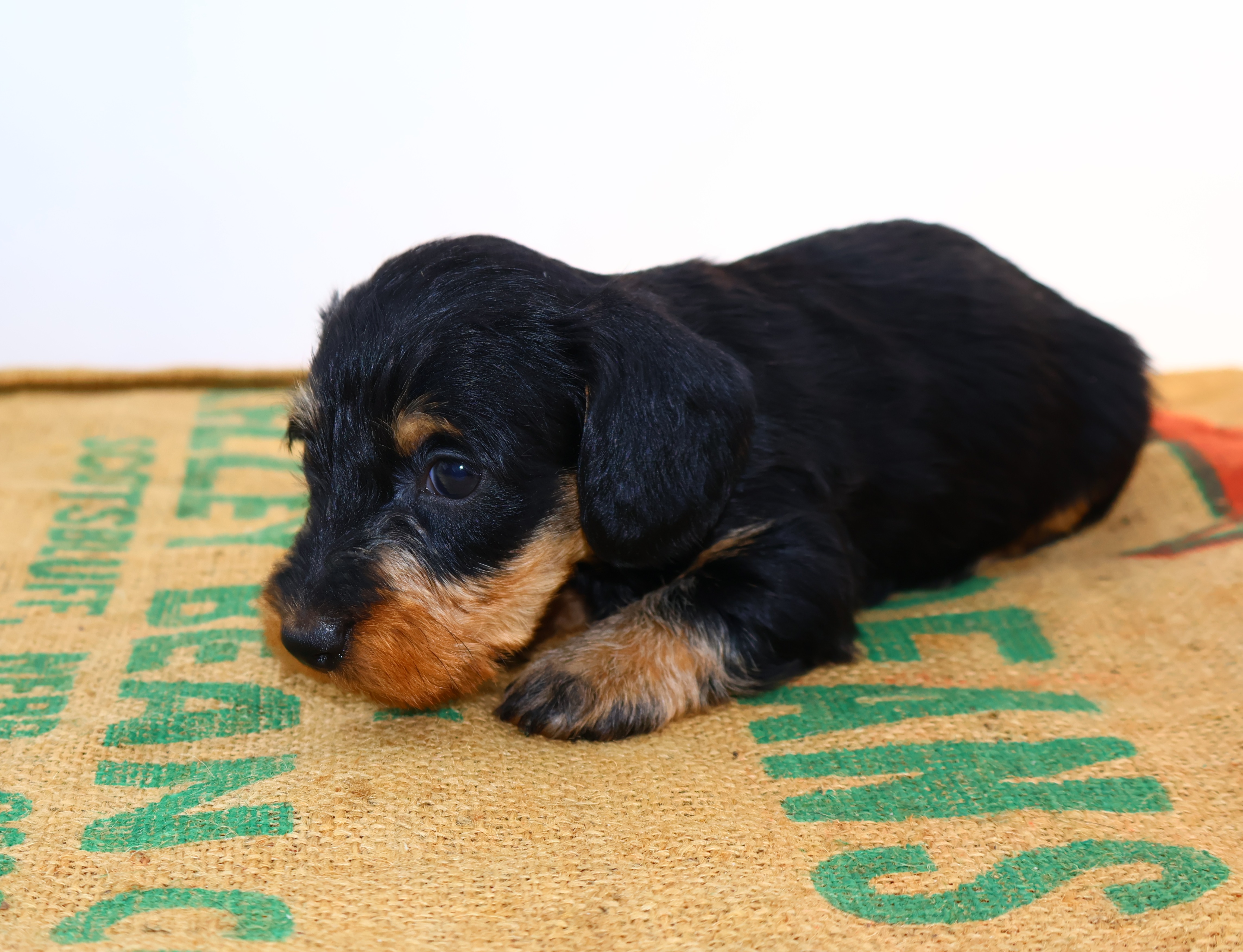 Added by user manually