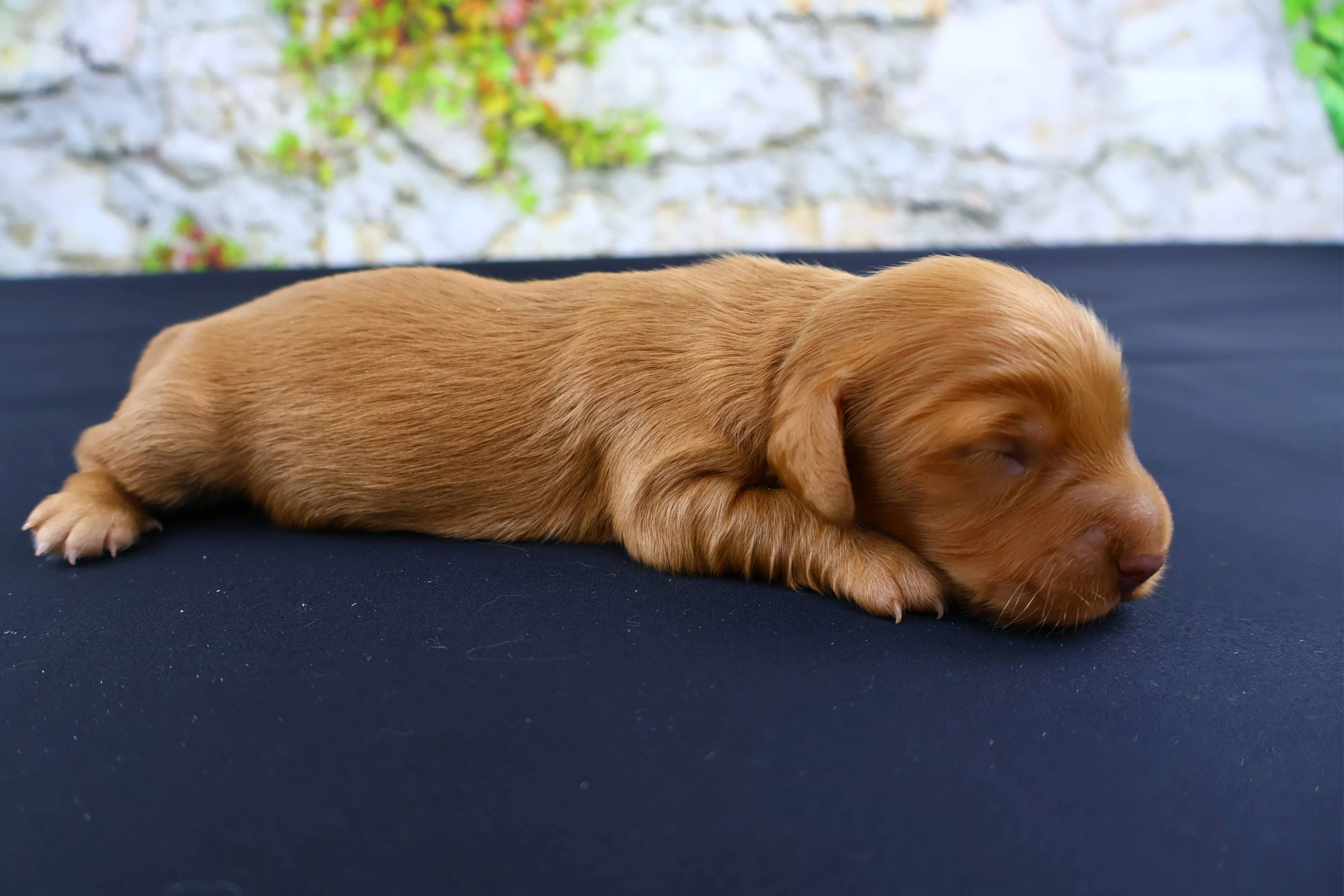 Added by user manually