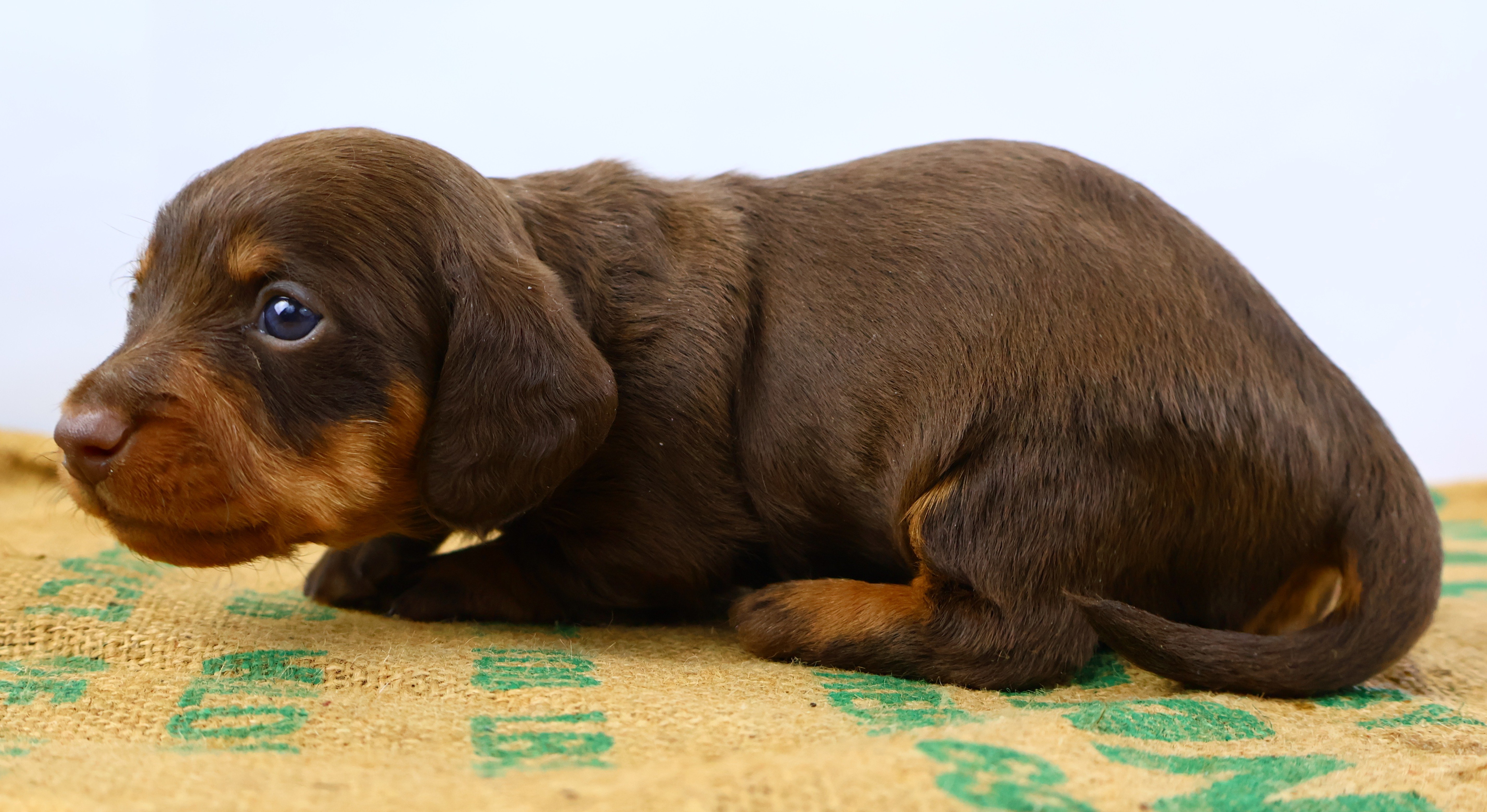 Added by user manually