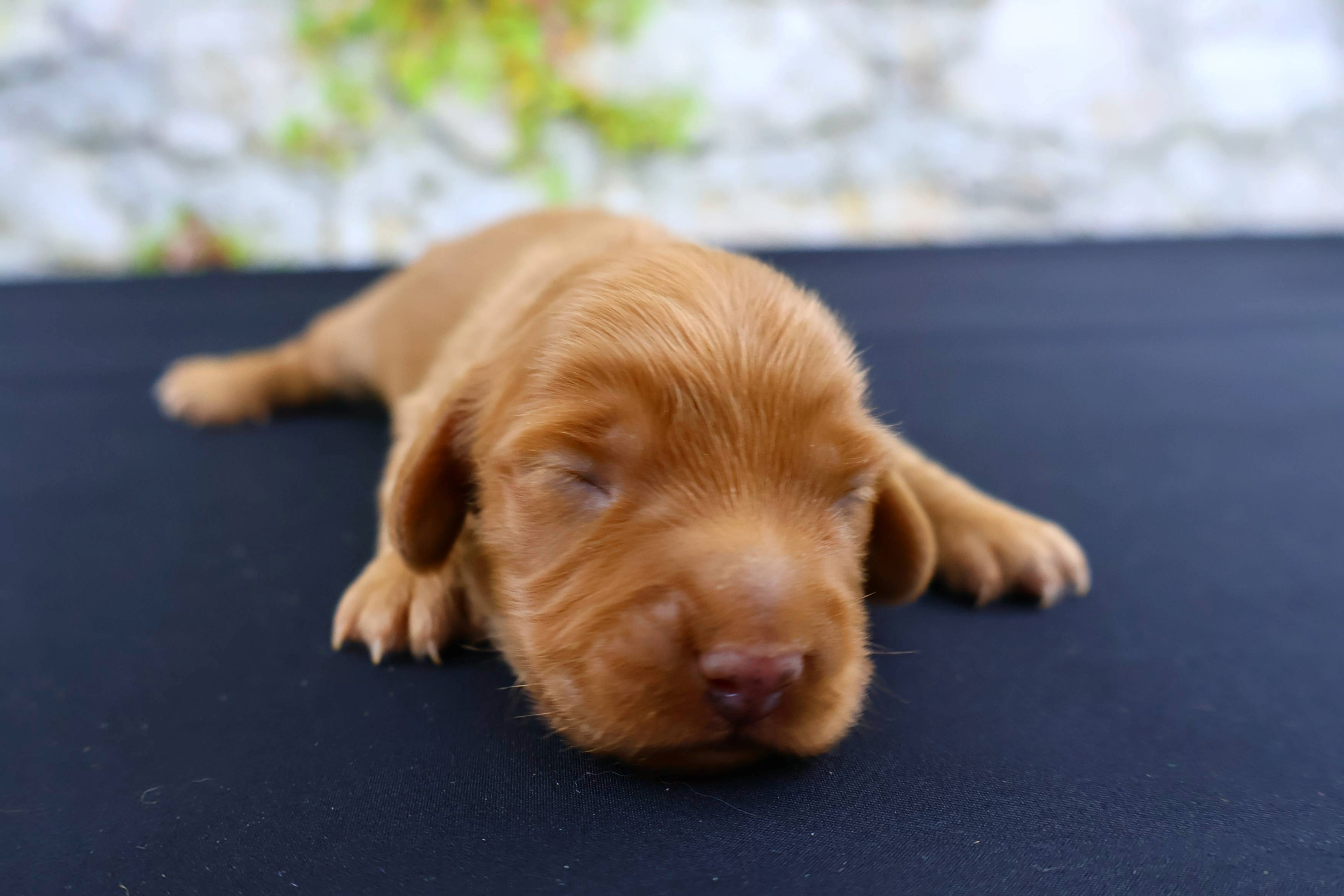 Added by user manually