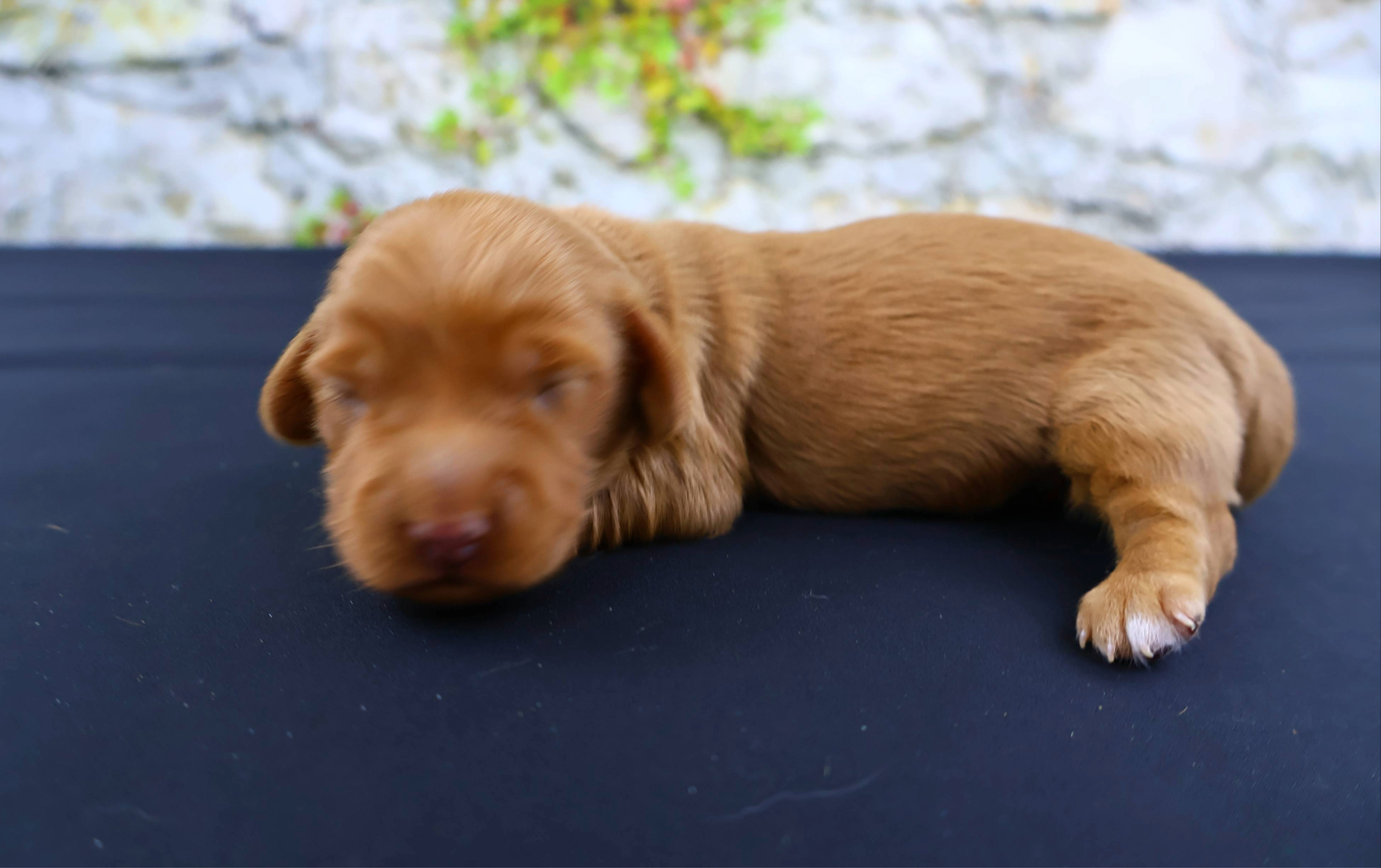 Added by user manually