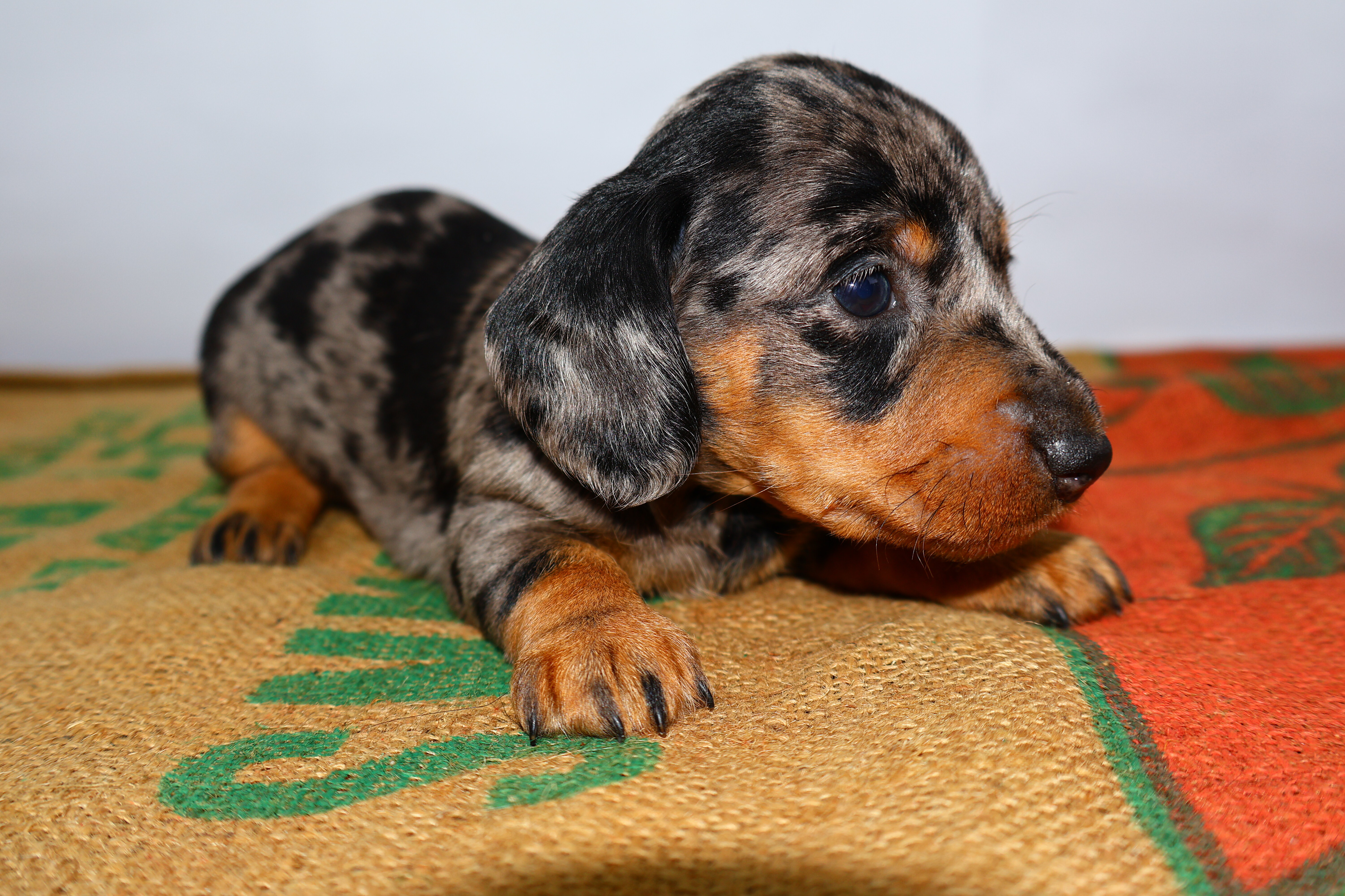 Added by user manually