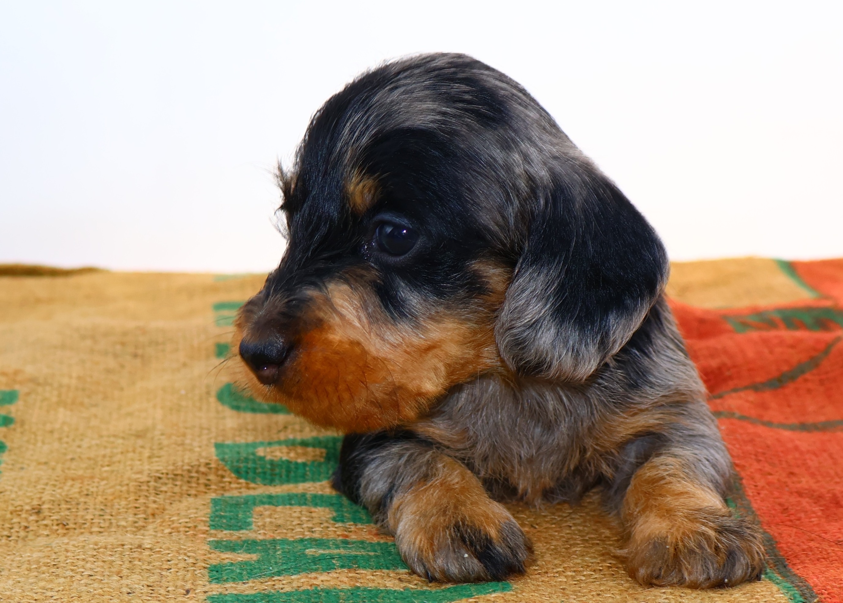 Added by user manually