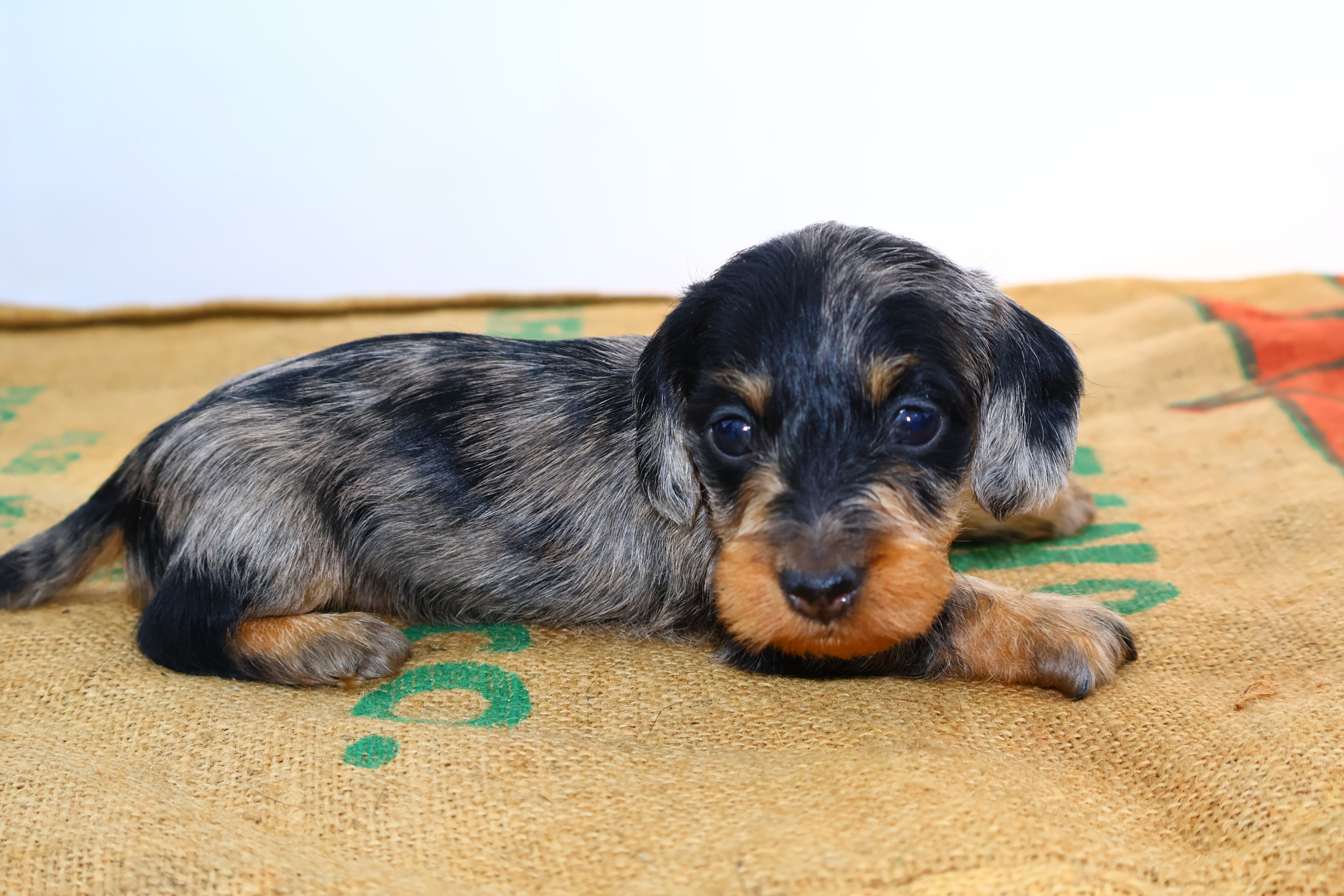 Added by user manually