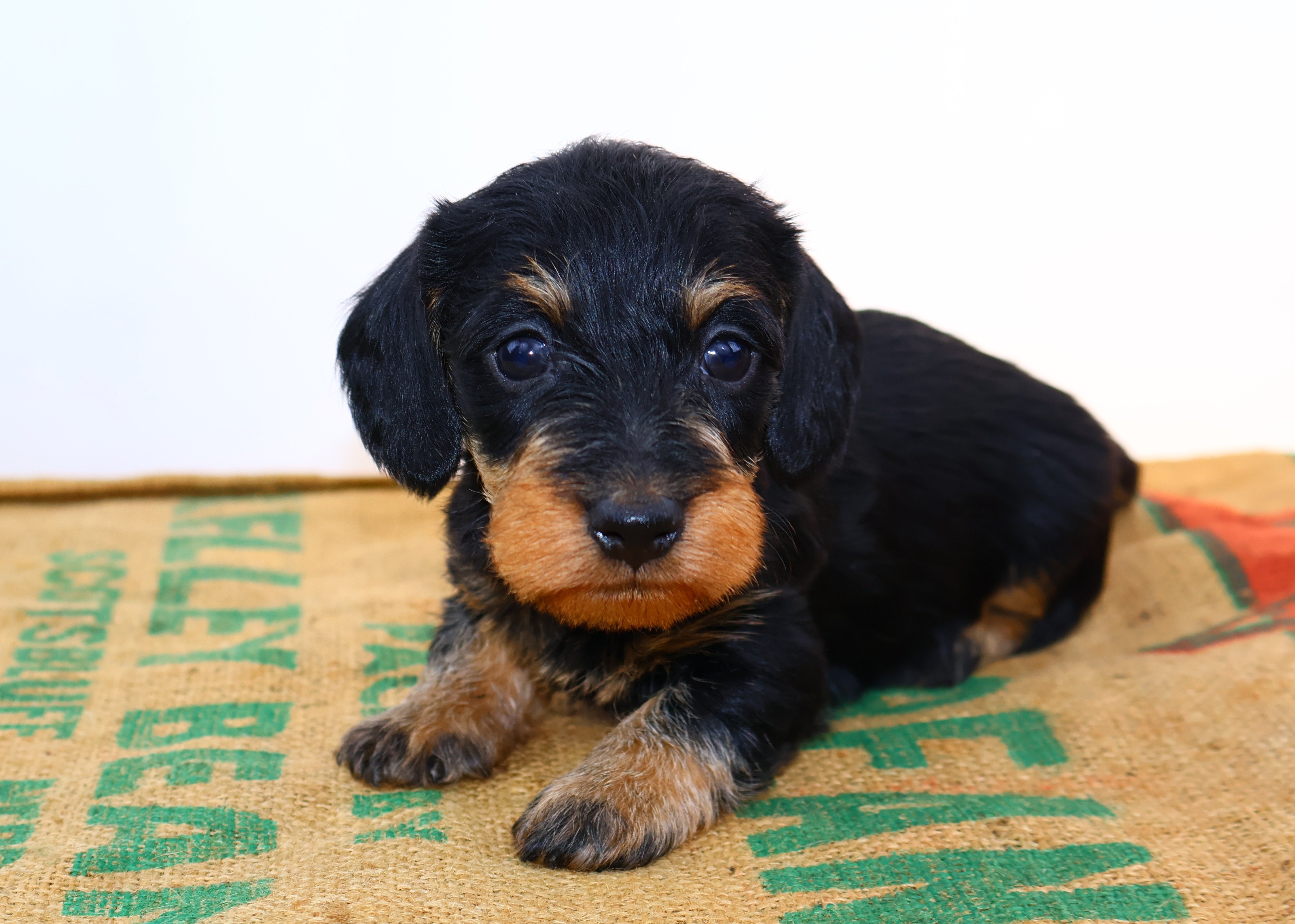 Added by user manually