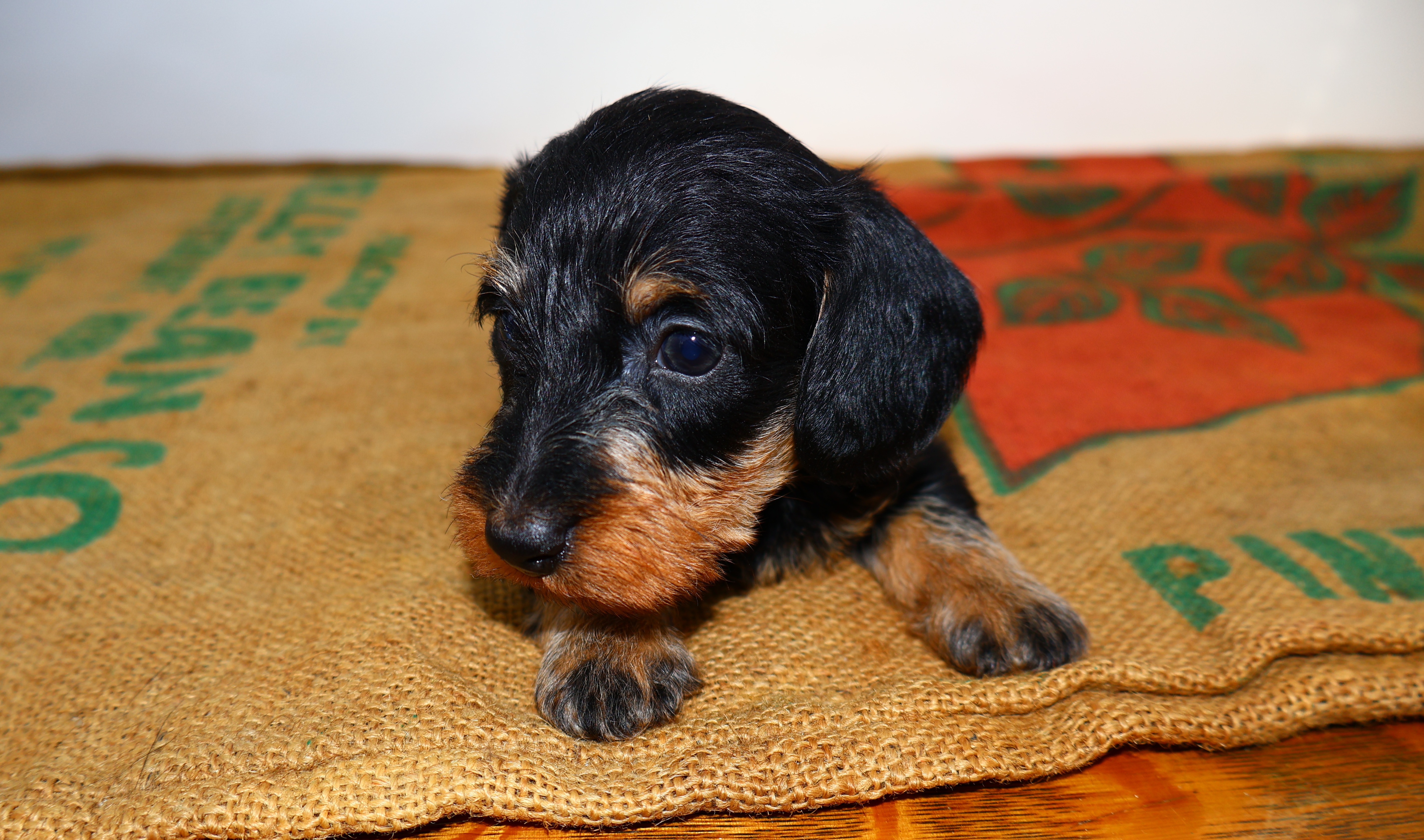 Added by user manually