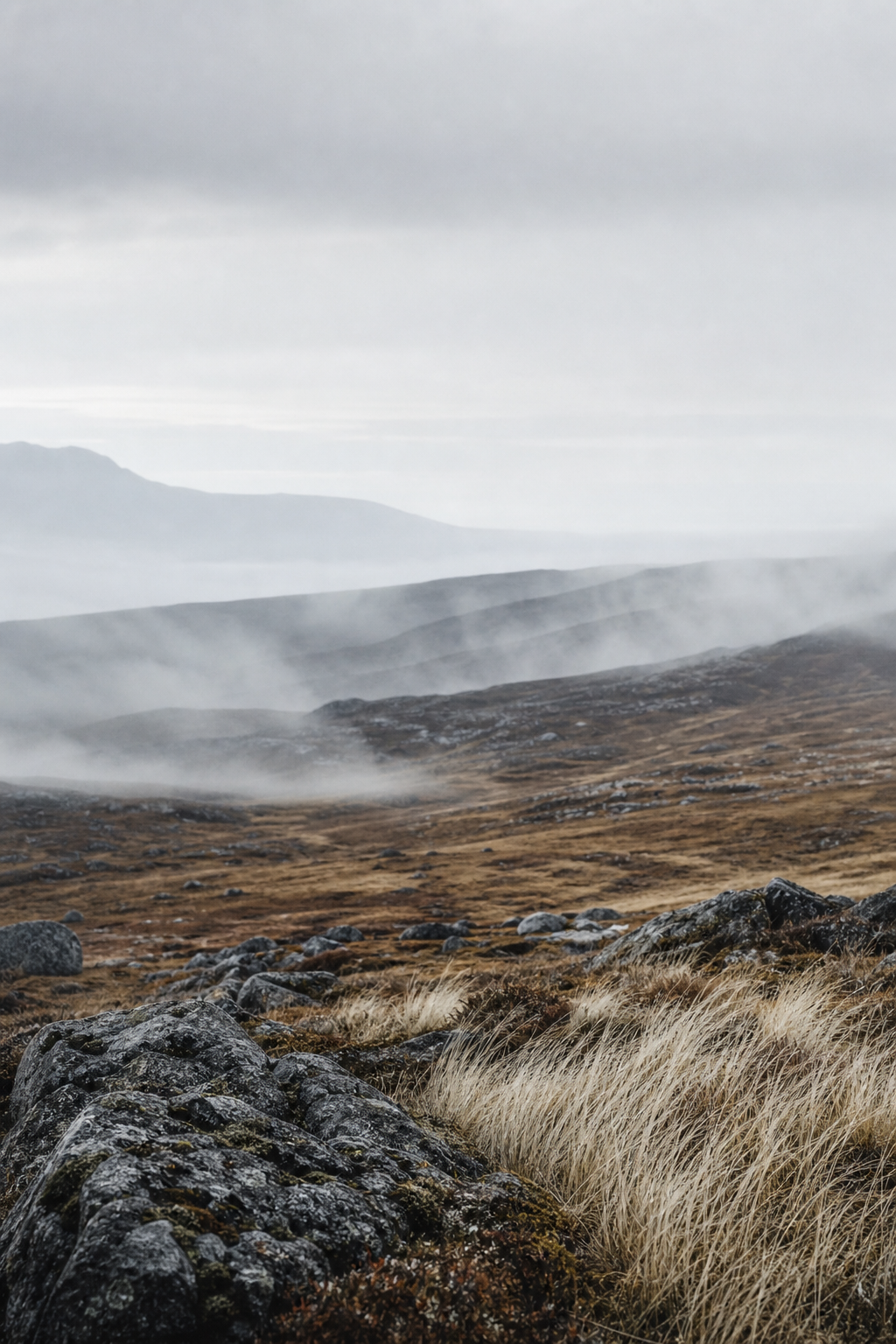 Windswept Nordic plateau with pale grass, low mist, and layered terrain fading into gray light