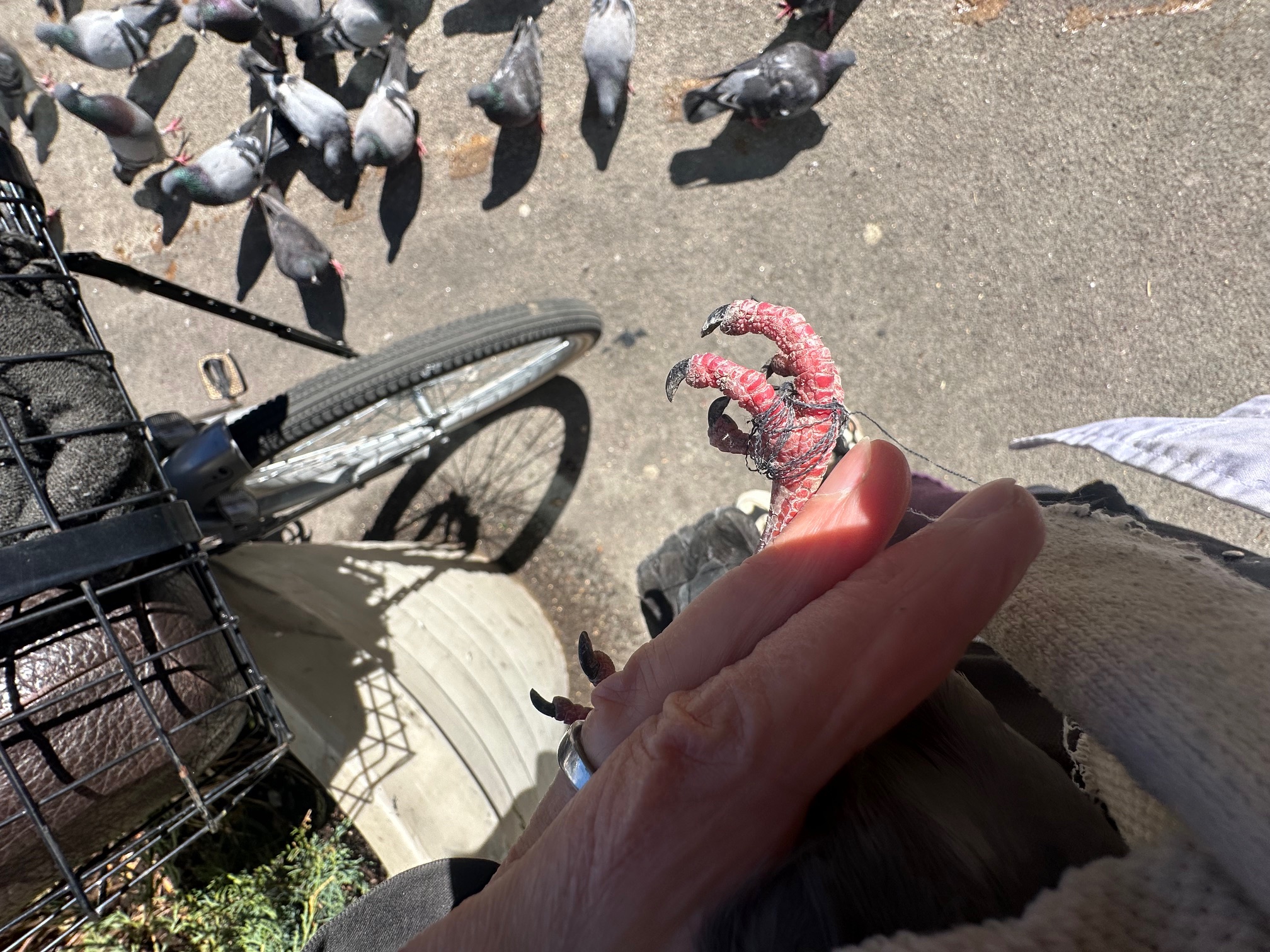 Added by user manually