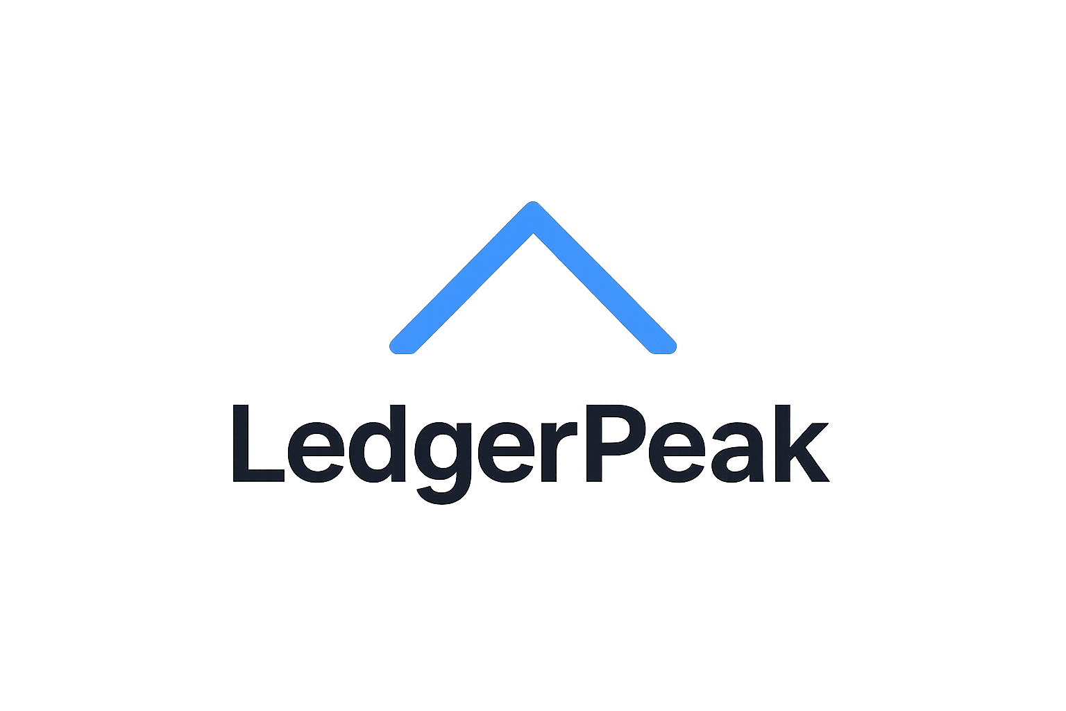 LedgerPeak accounting software placeholder logo