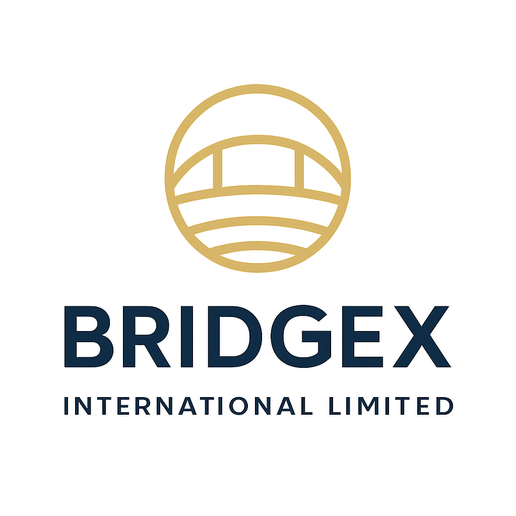 BridgeX International Limited logo