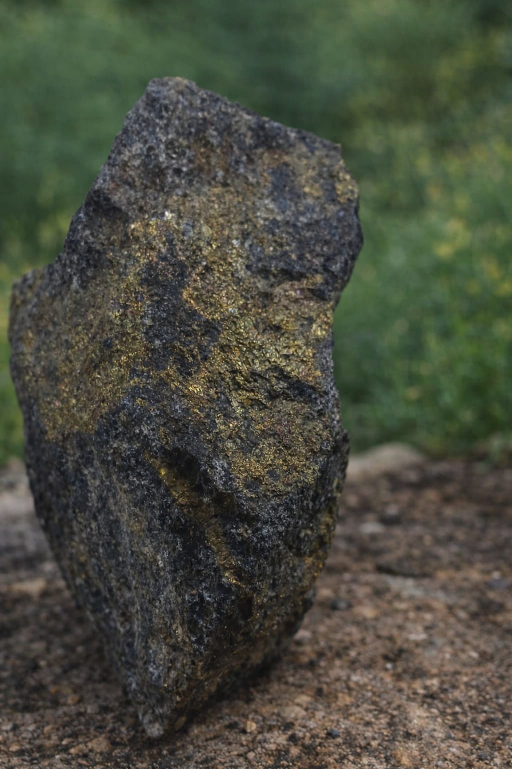 Added by user manually