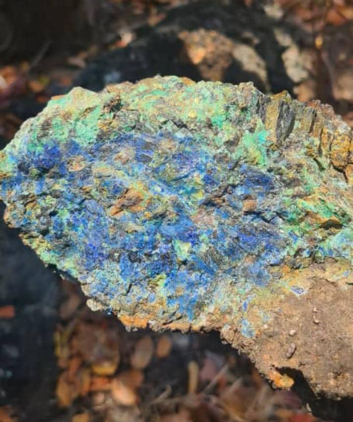 Added by user manually