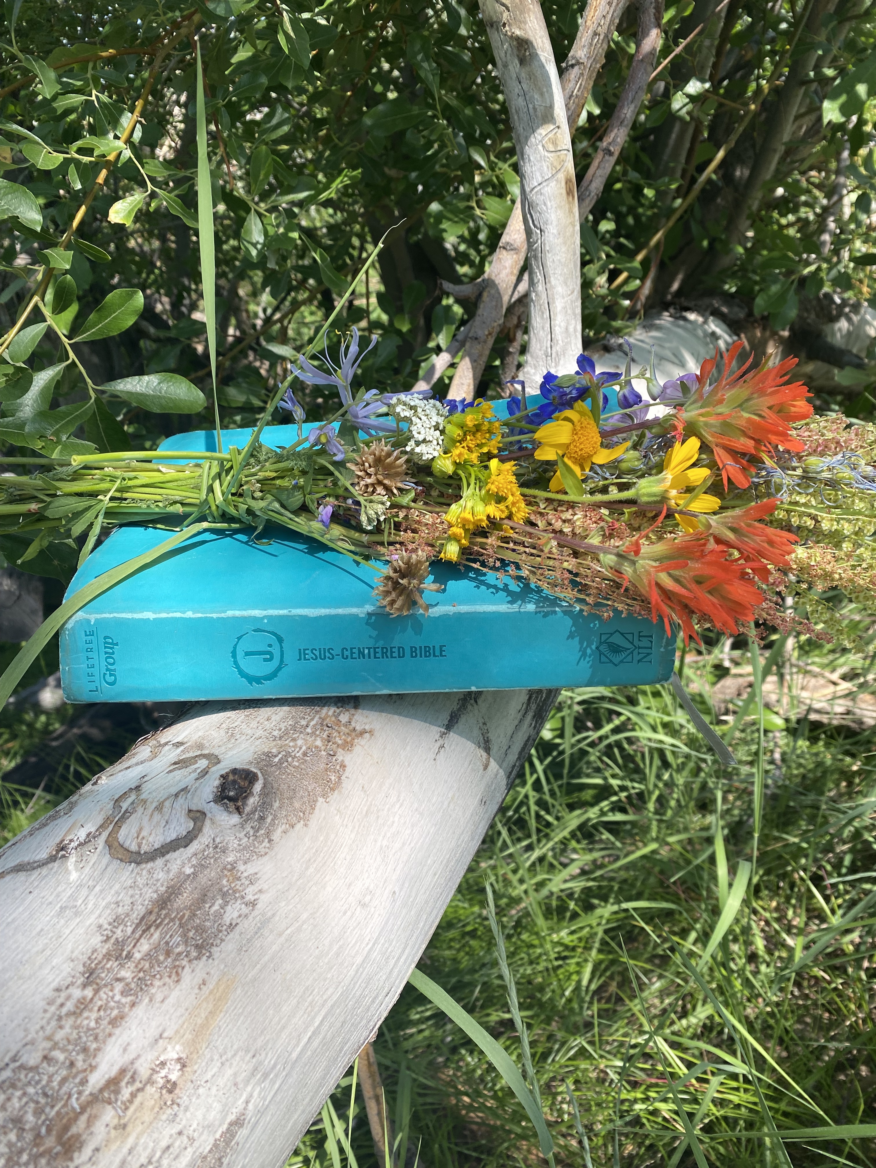 Added by user manually