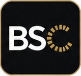 Backed Sales Consulting logo