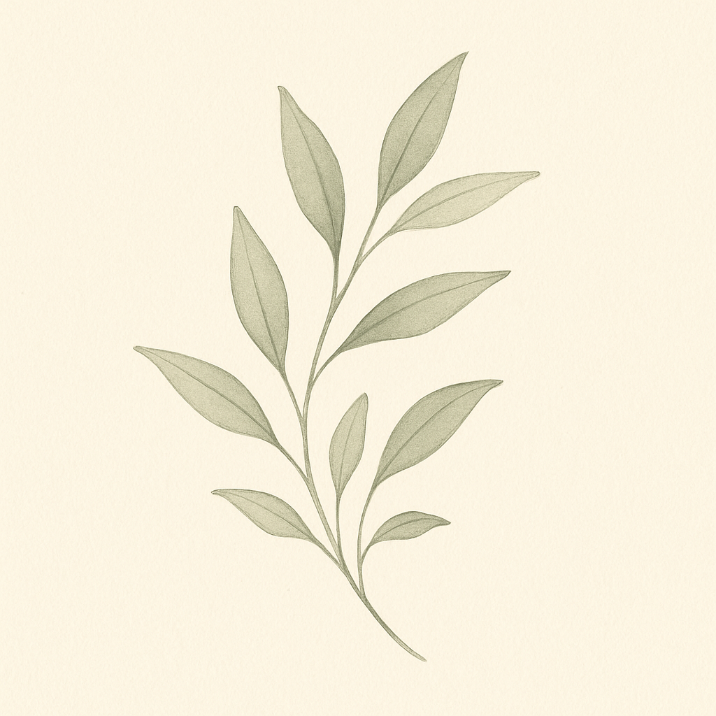 Delicate botanical line illustration with soft leaves and pastry-inspired curves