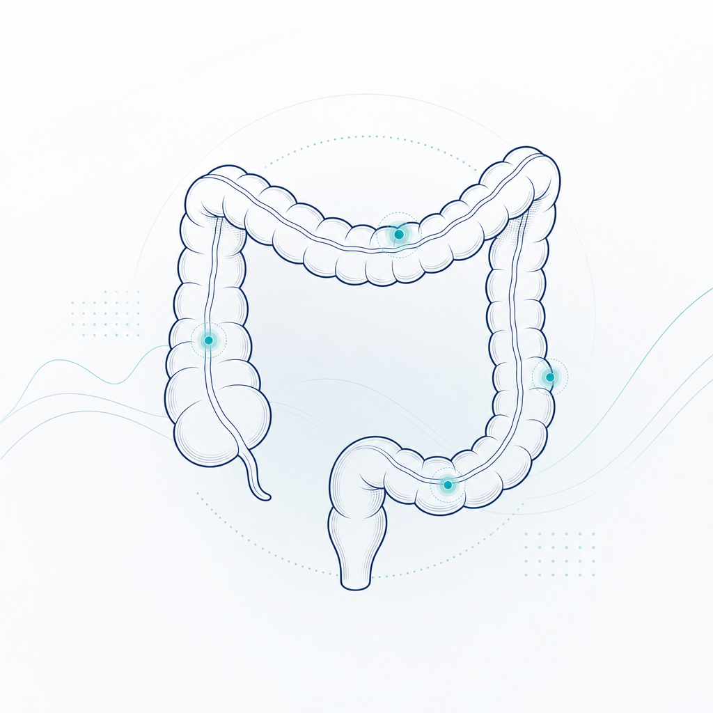 Minimal medical line-art illustration of the human colon with soft clinical blue accents