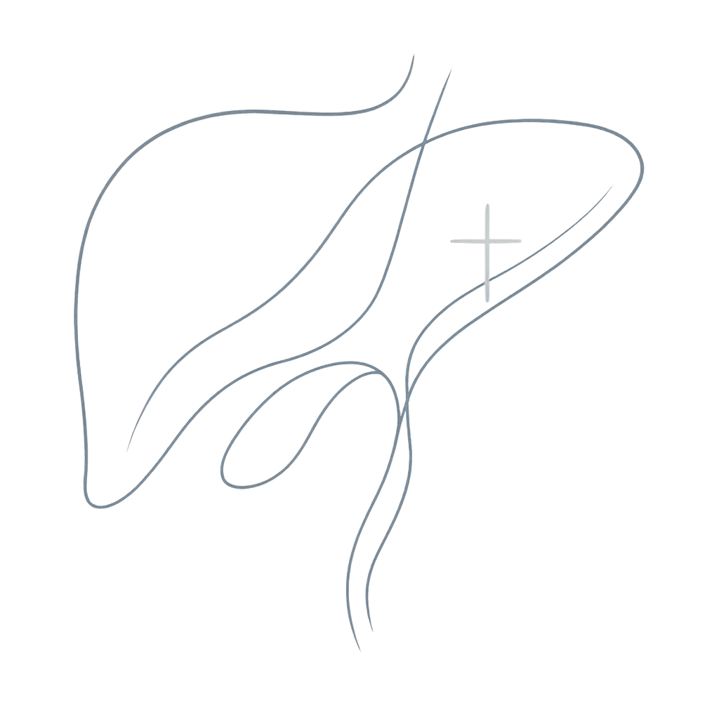 Subtle abstract medical contour line art inspired by hepatobiliary anatomy in soft blue tones