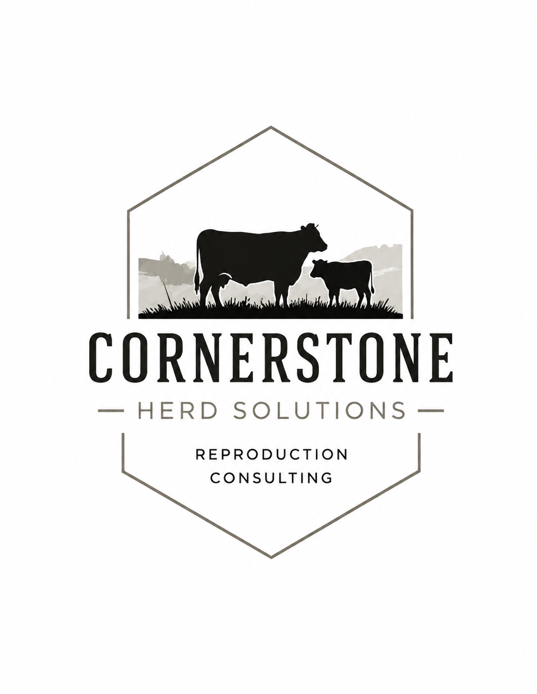 Cornerstone Herd Solutions logo