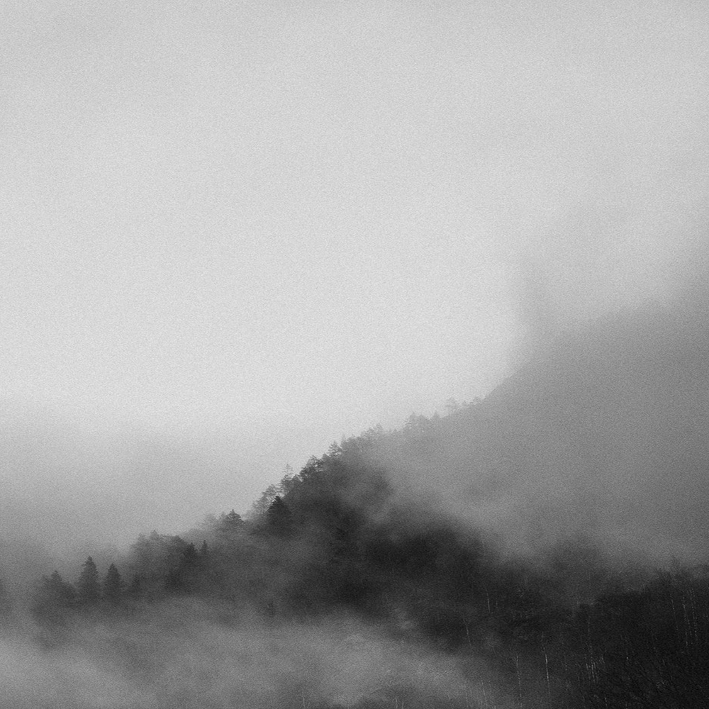 Added by user manually