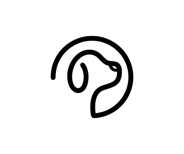 Added by user manually