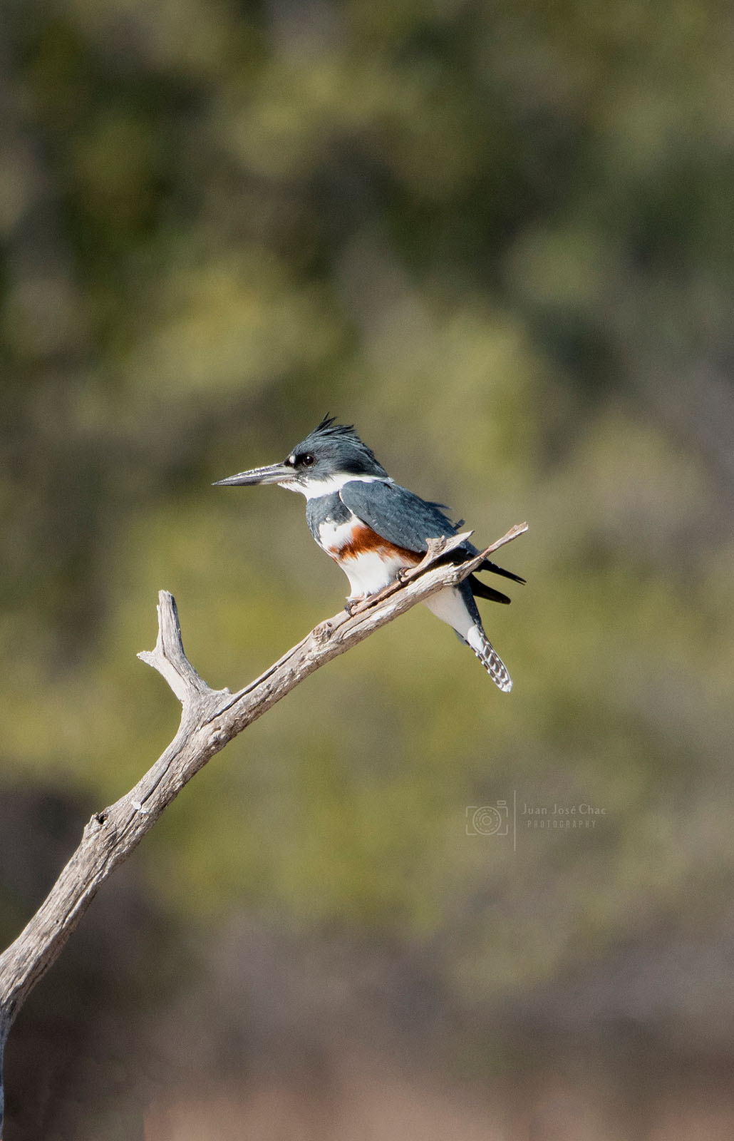 Added by user manually