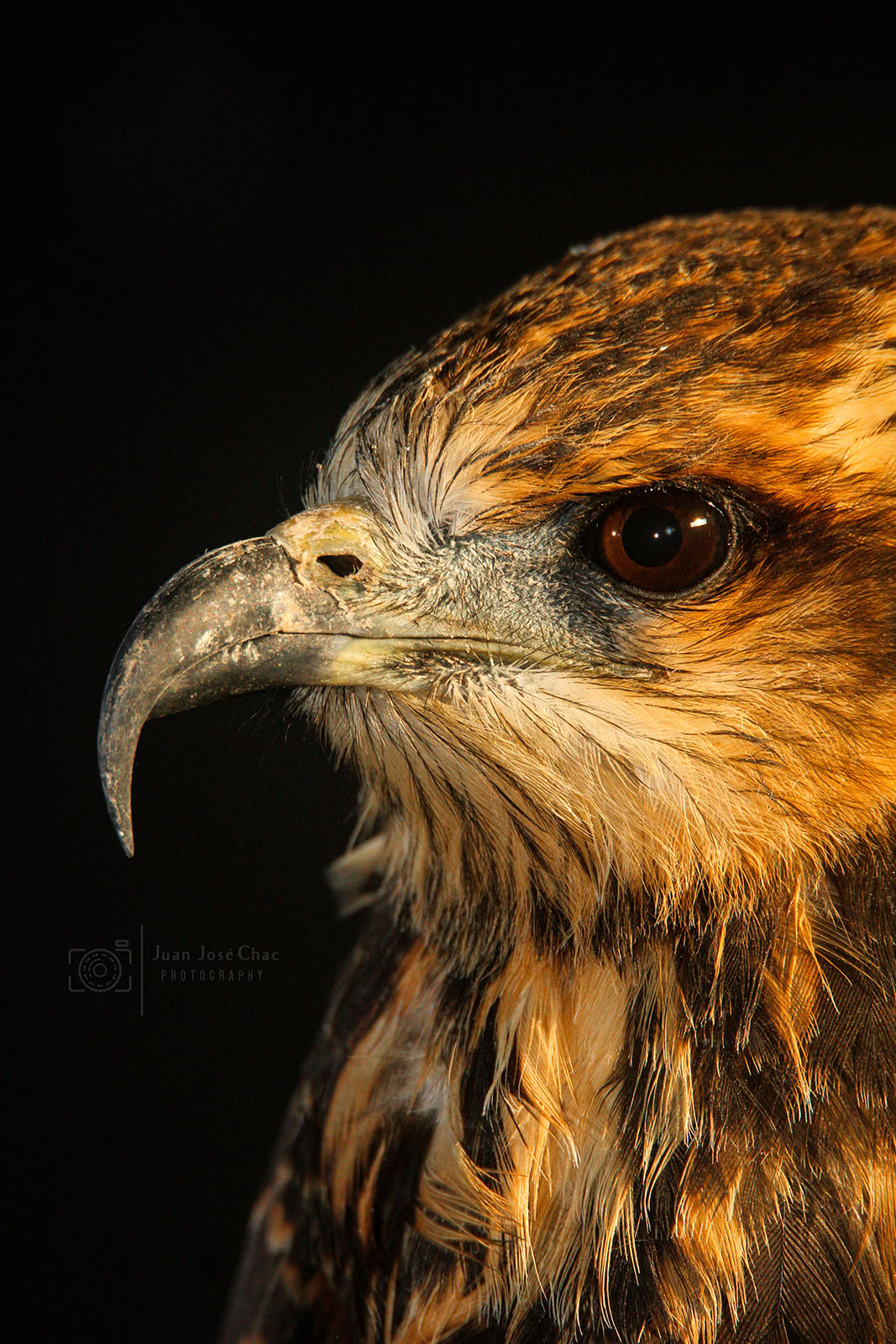 Added by user manually