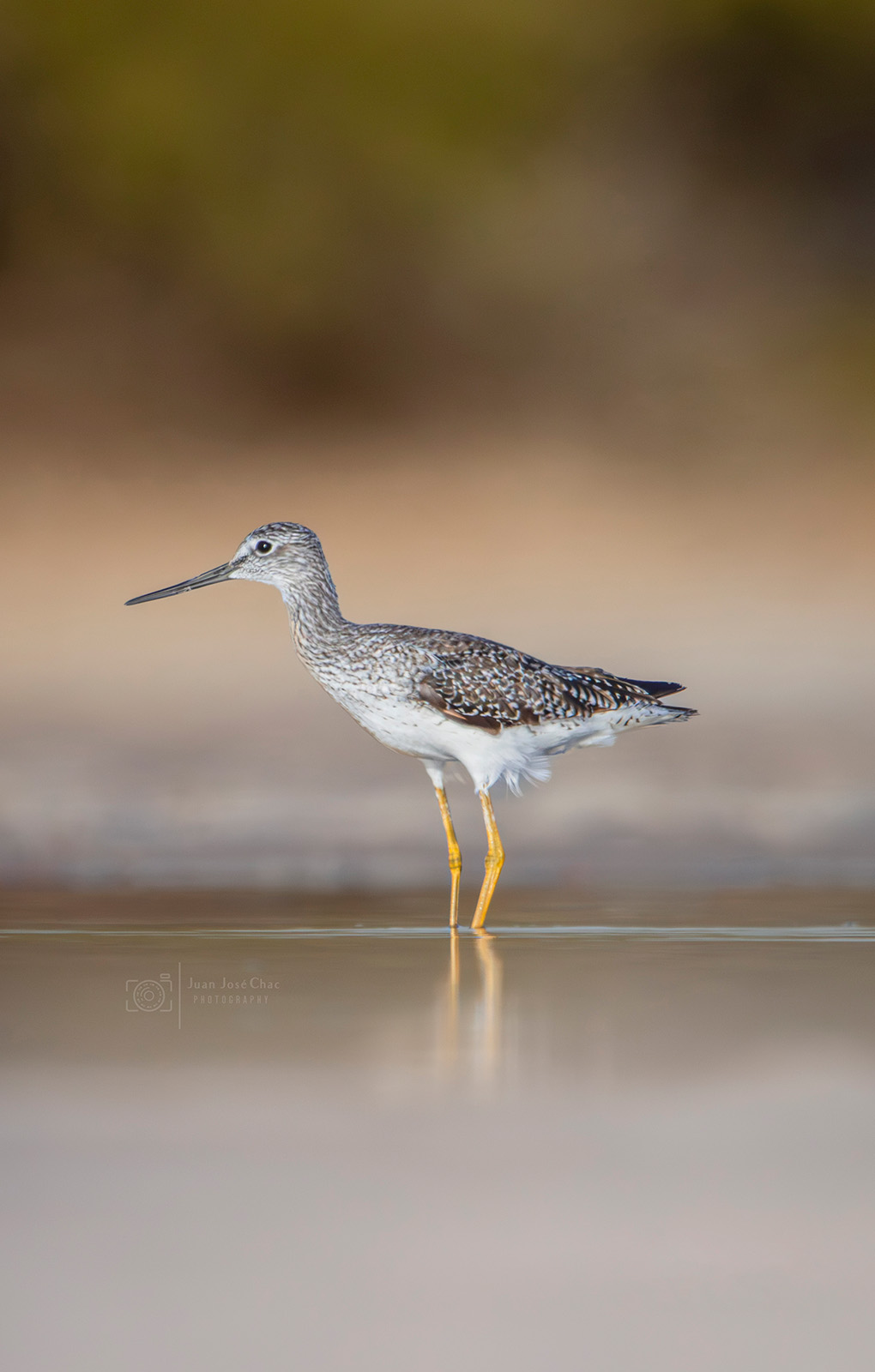 Added by user manually