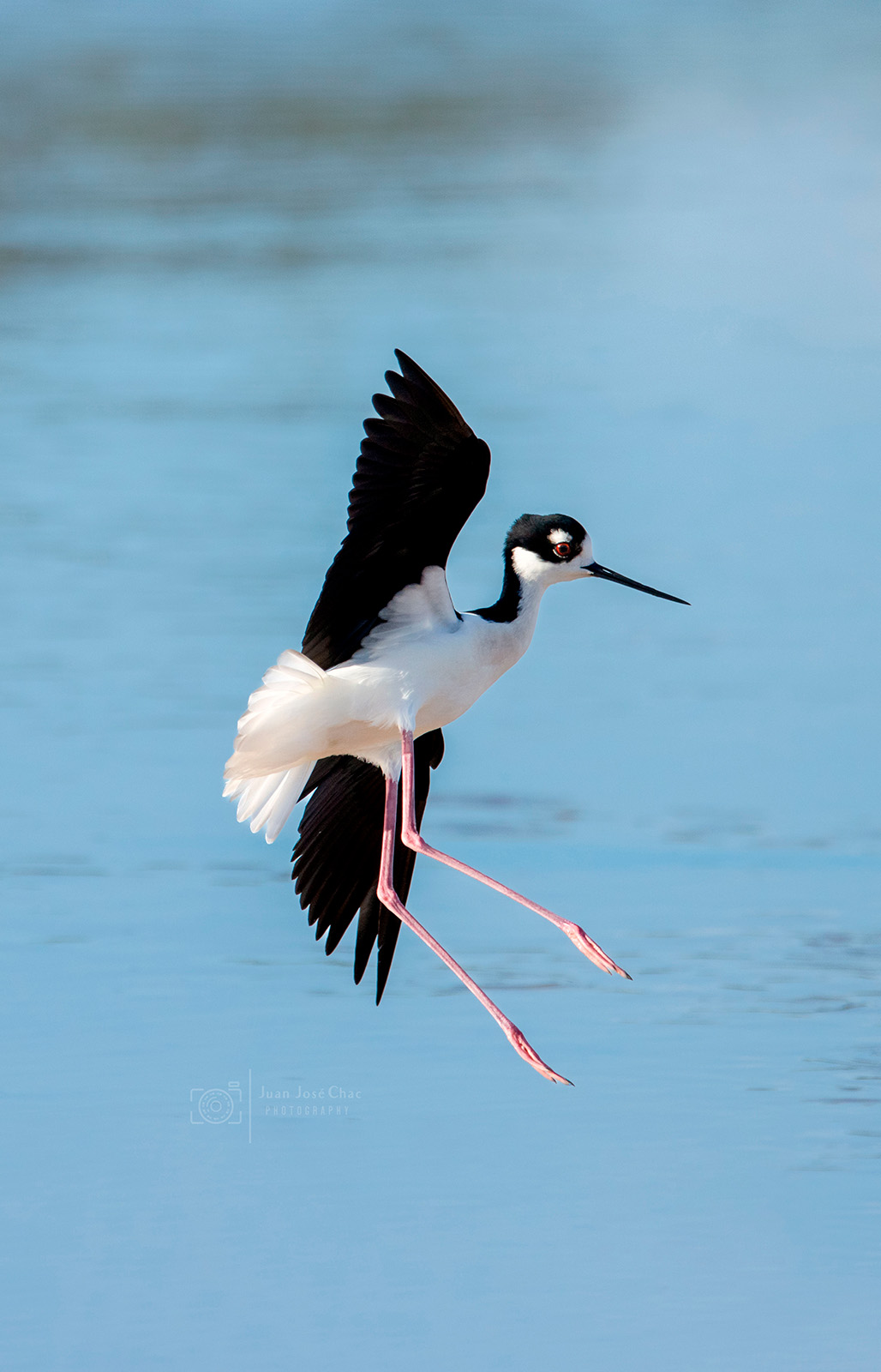 Added by user manually