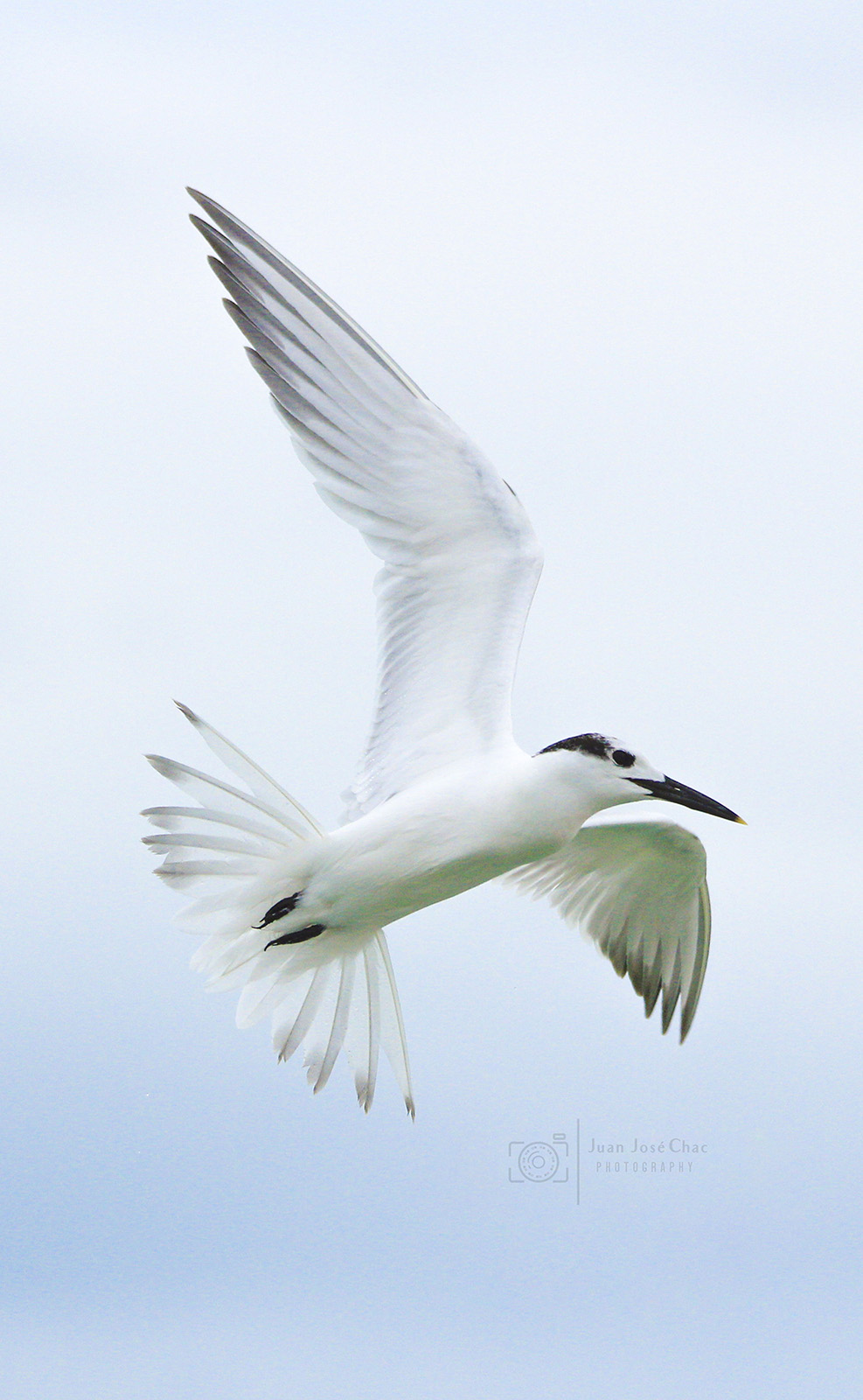 Added by user manually