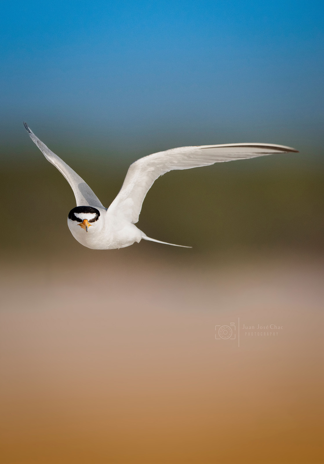 Added by user manually