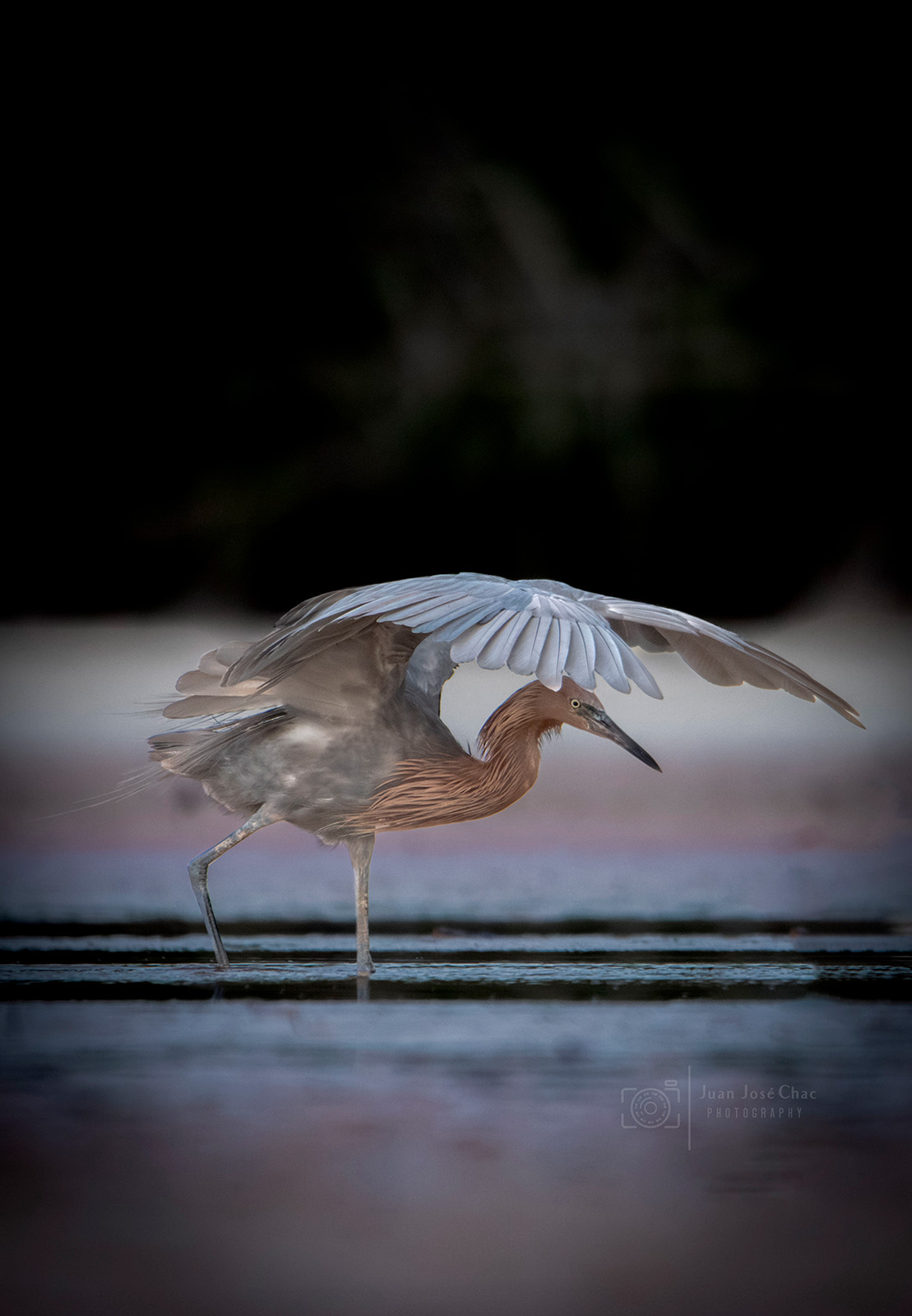 Added by user manually