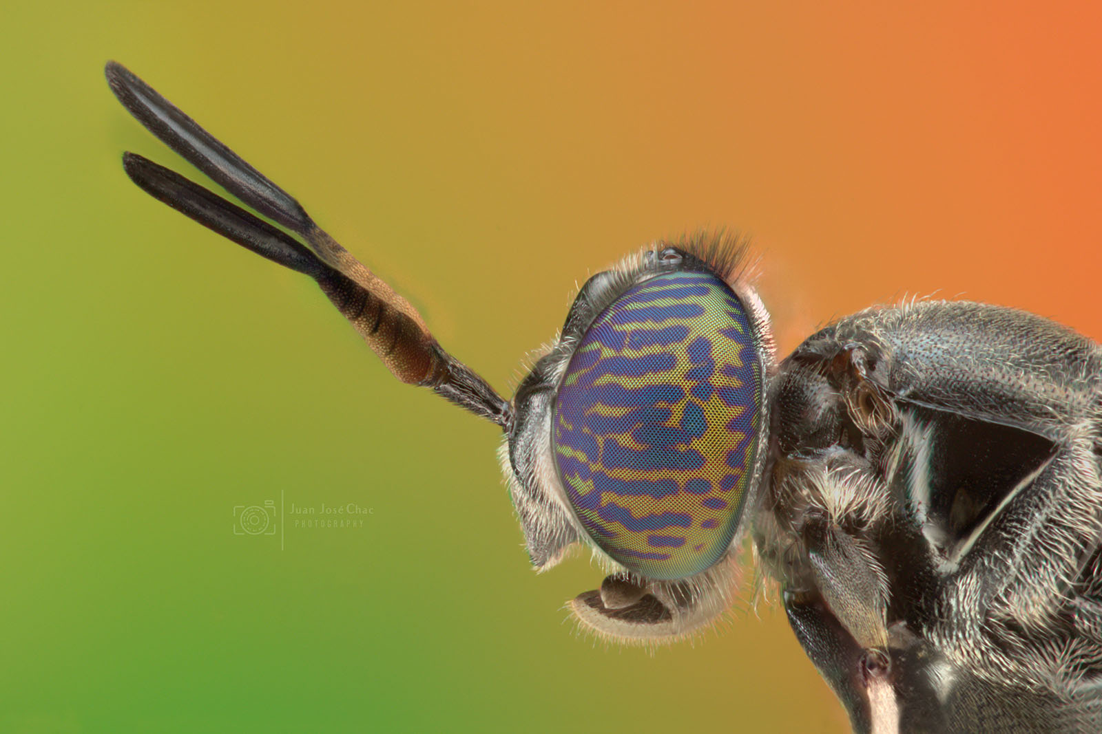 Added by user manually