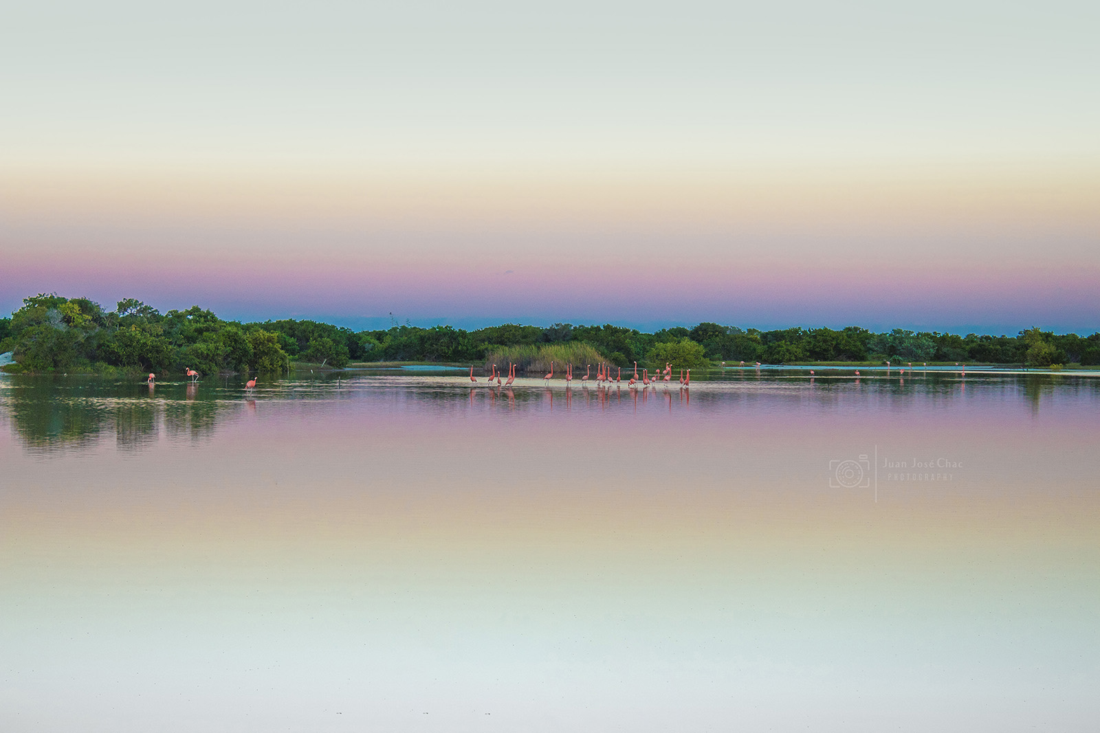 Added by user manually