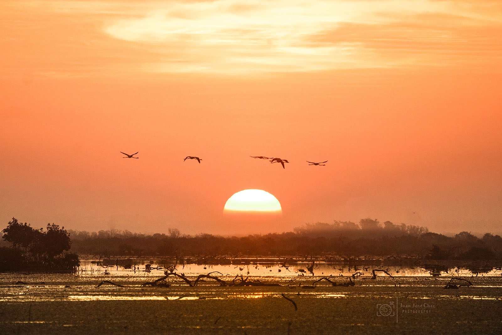 Added by user manually